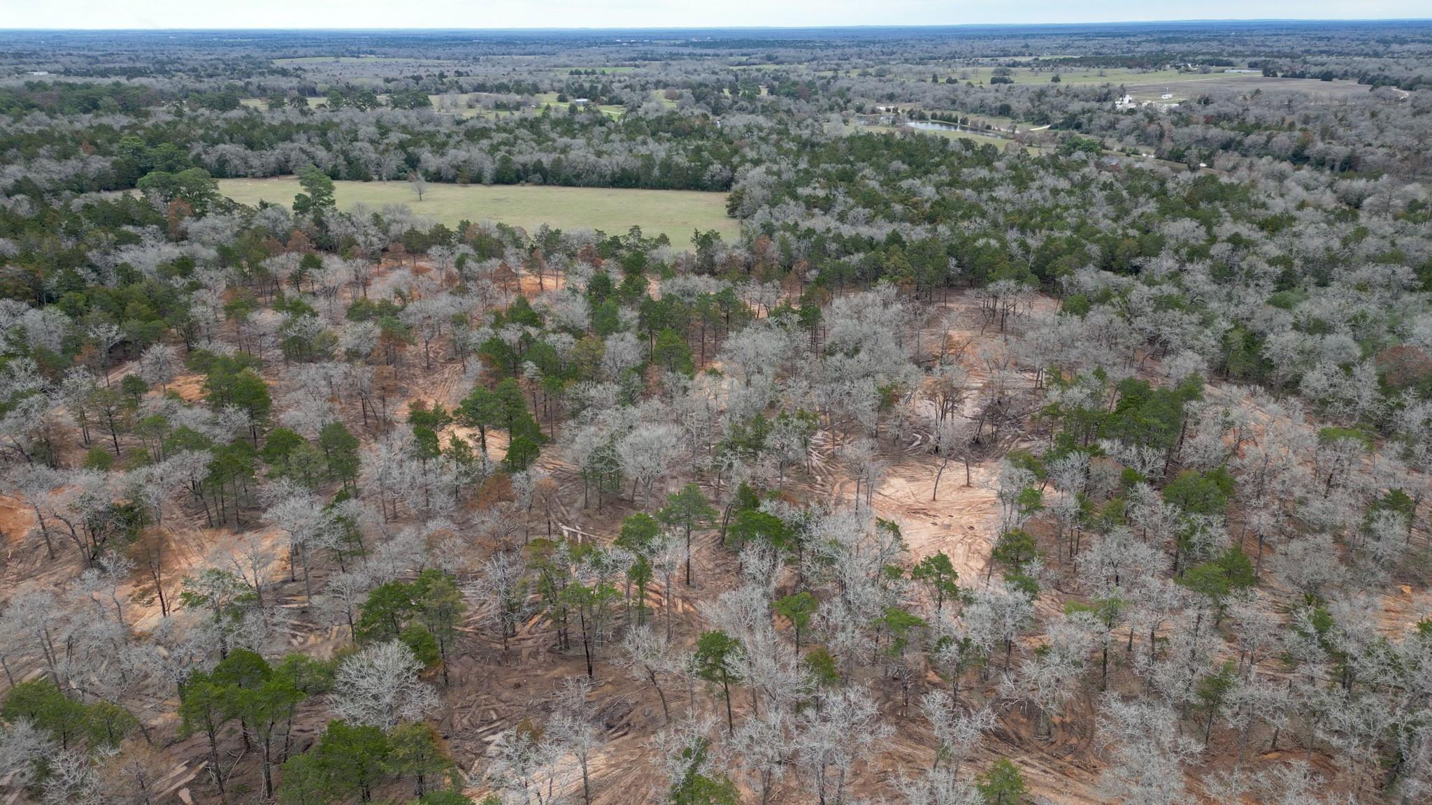 1559 Fm 535 Highway Property Photo 8