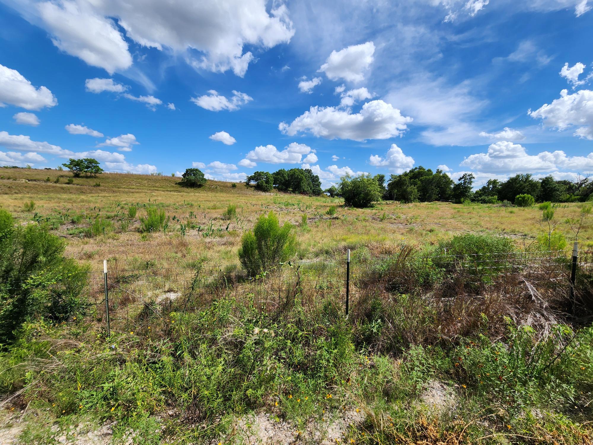 505 Chisum Trl Property Photo 6