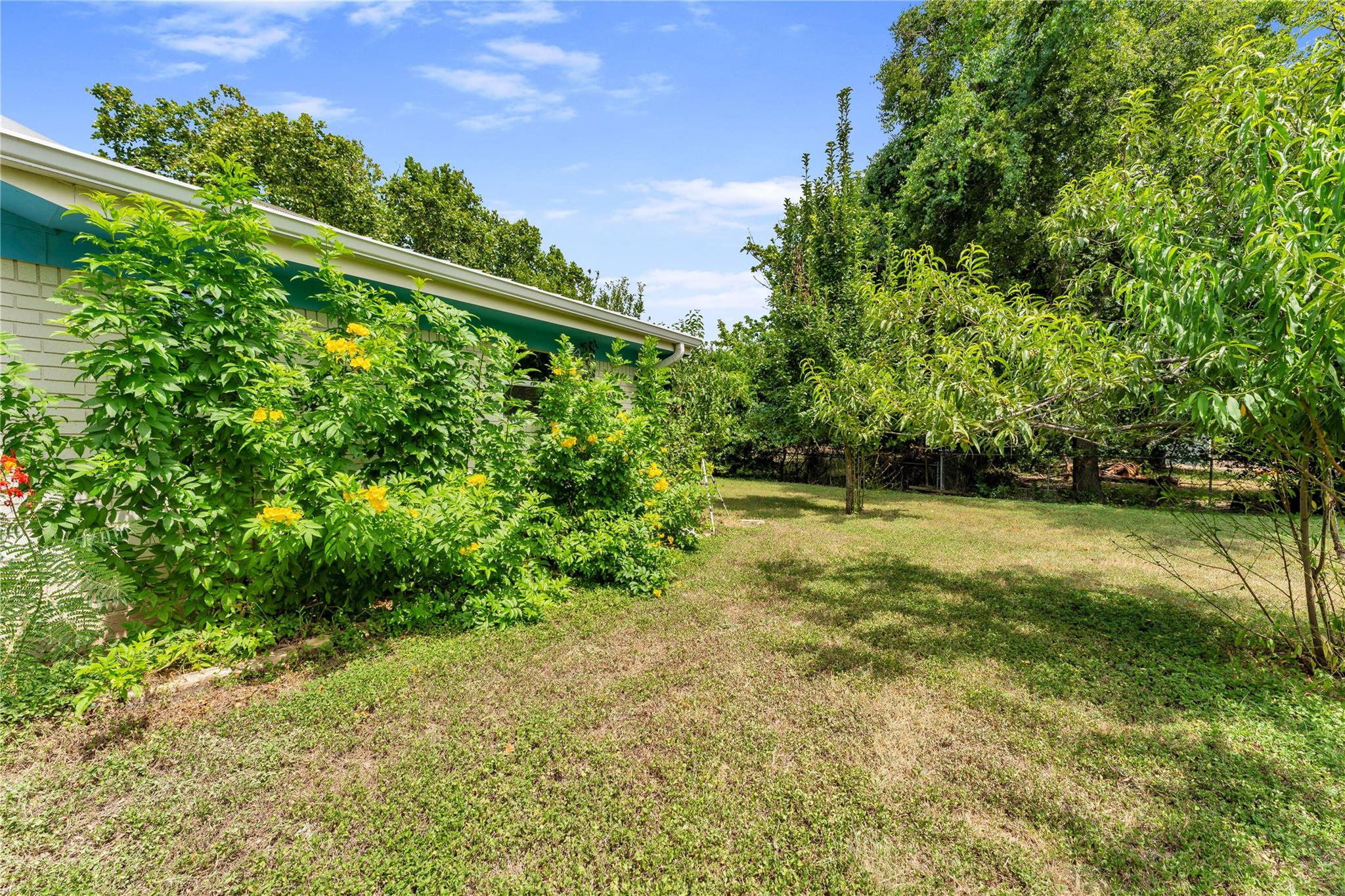 505 Chisum Trl Property Photo 30