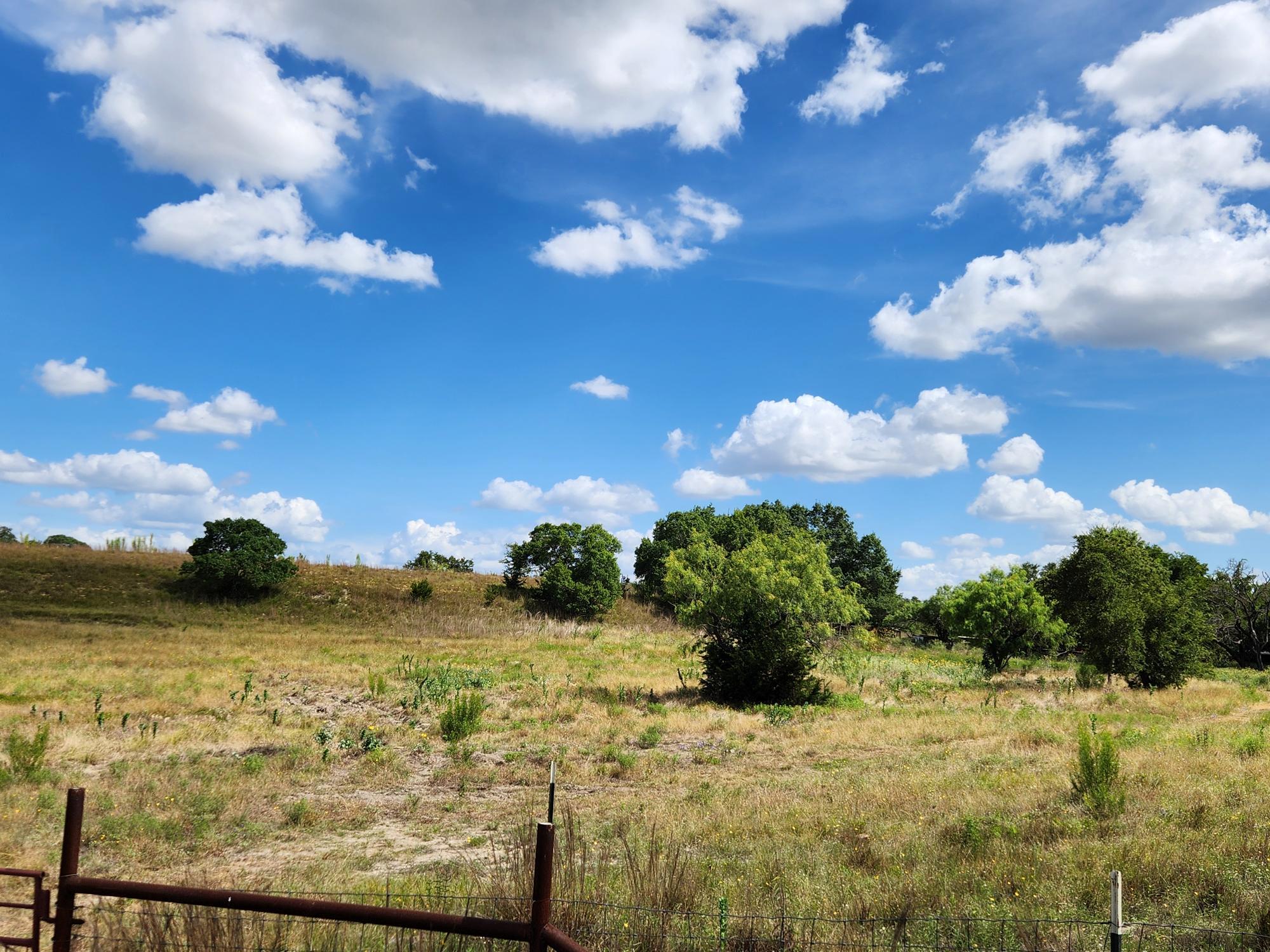 505 Chisum Trl Property Photo 31