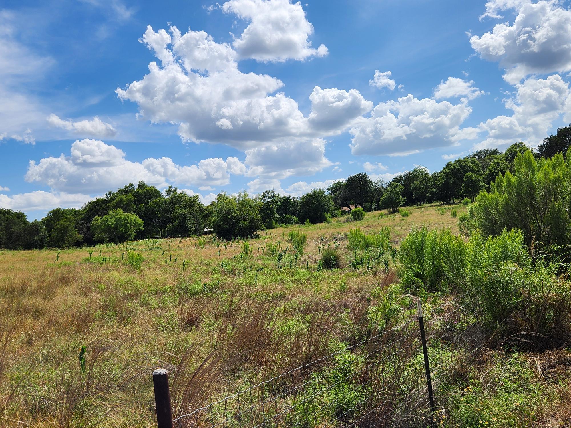 505 Chisum Trl Property Photo 32