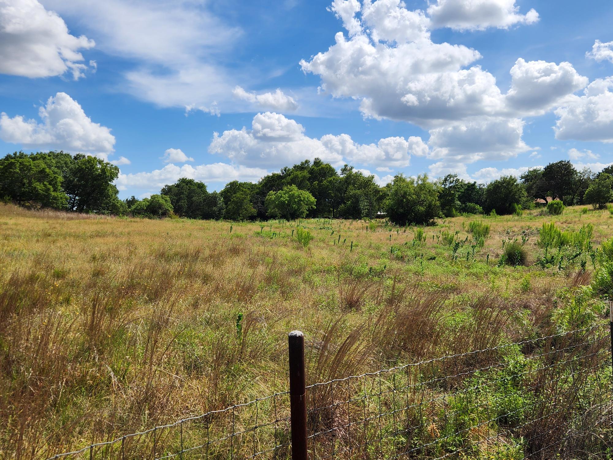 505 Chisum Trl Property Photo 33