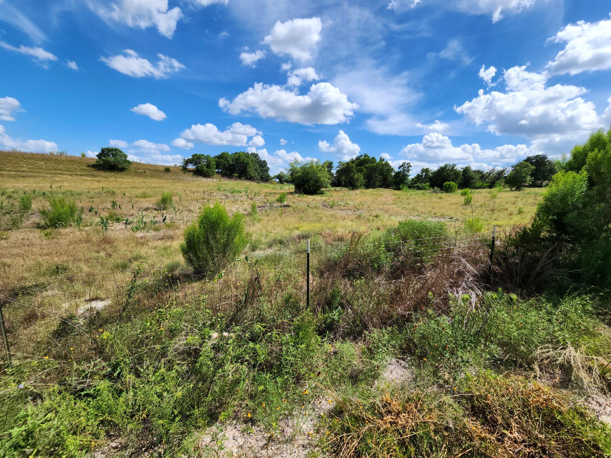 505 Chisum Trl Property Photo 34