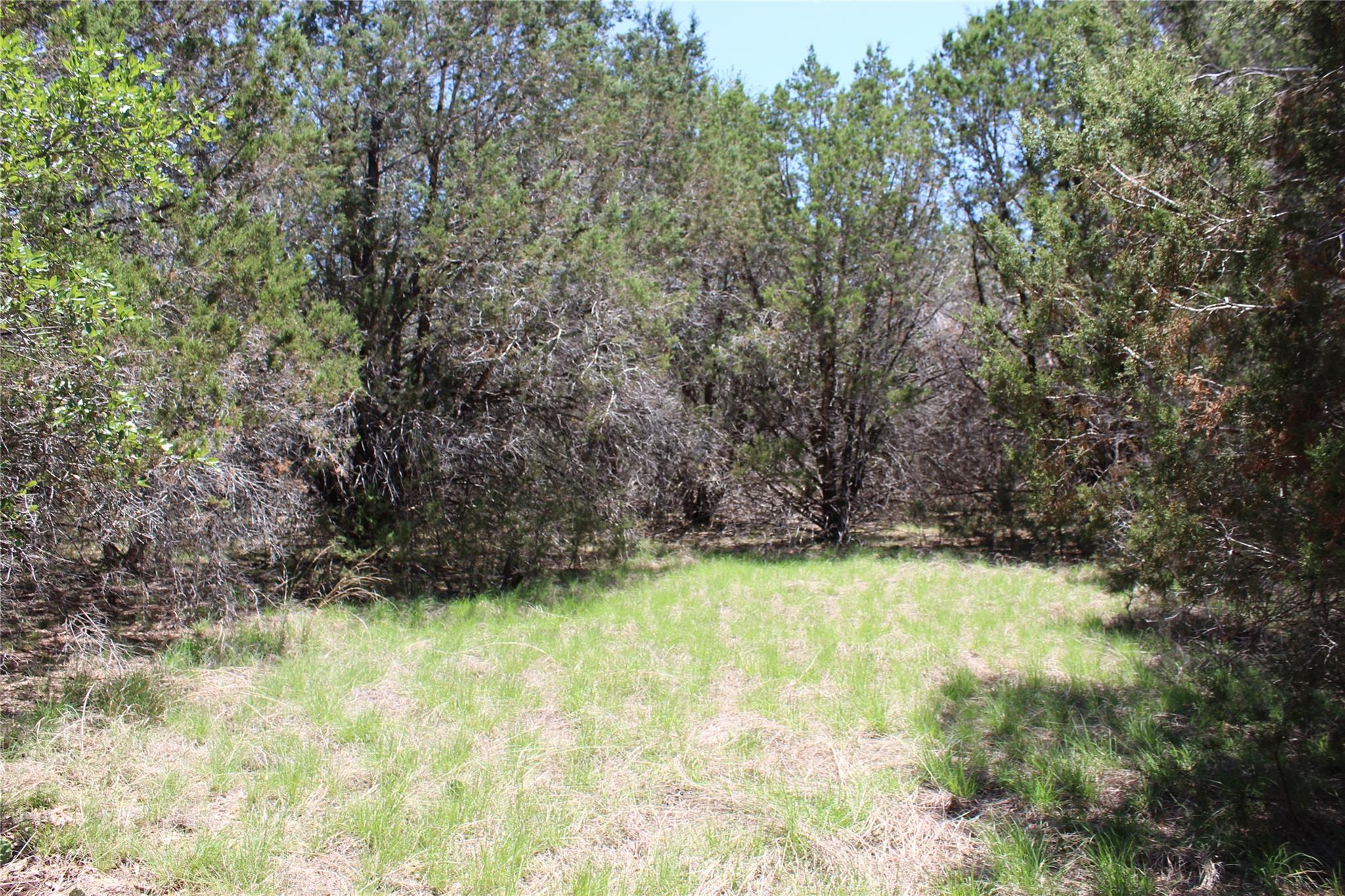 Tbd Oak Run Dr Property Photo 6