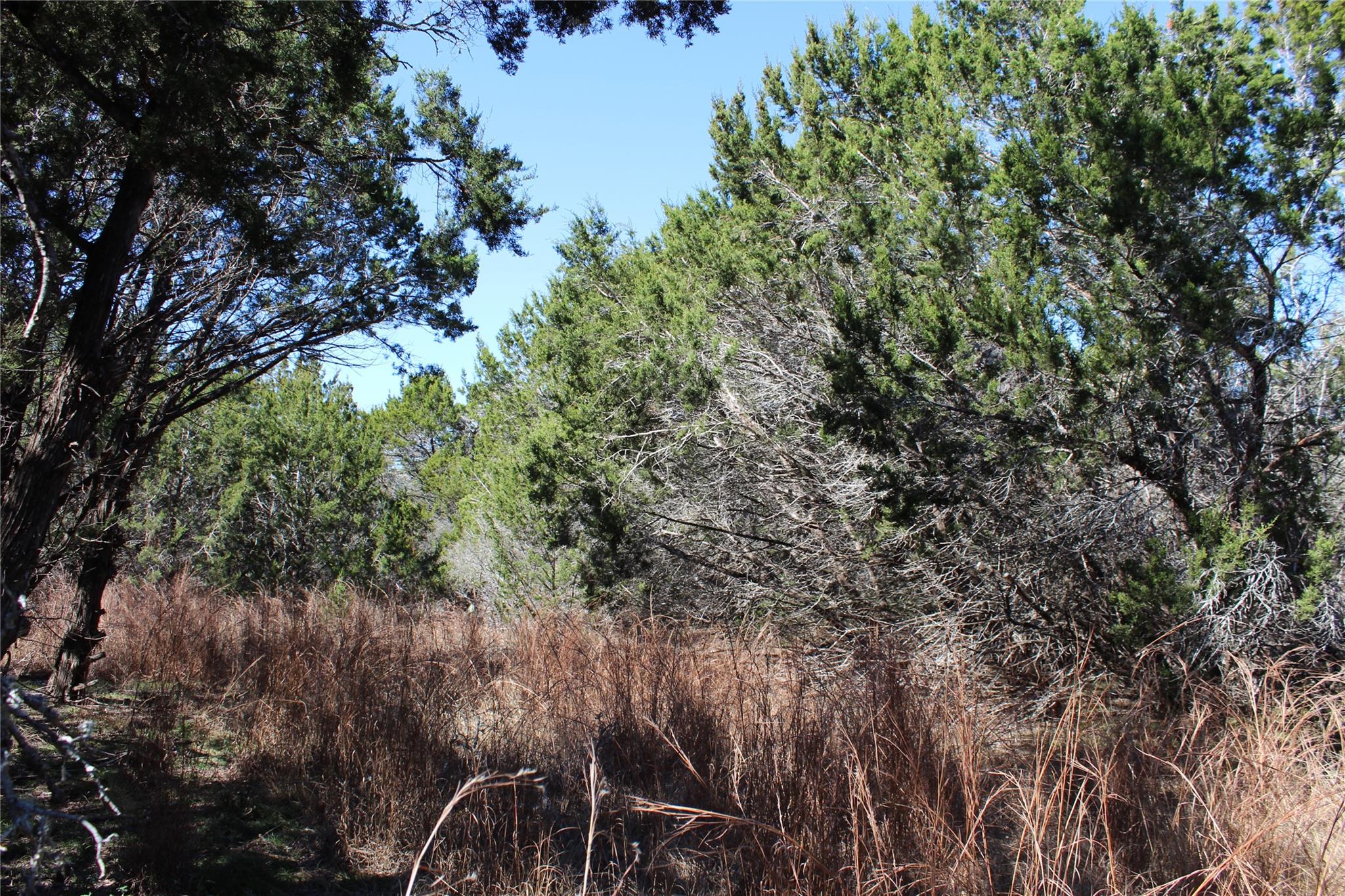 Tbd Oak Run Dr Property Photo 9