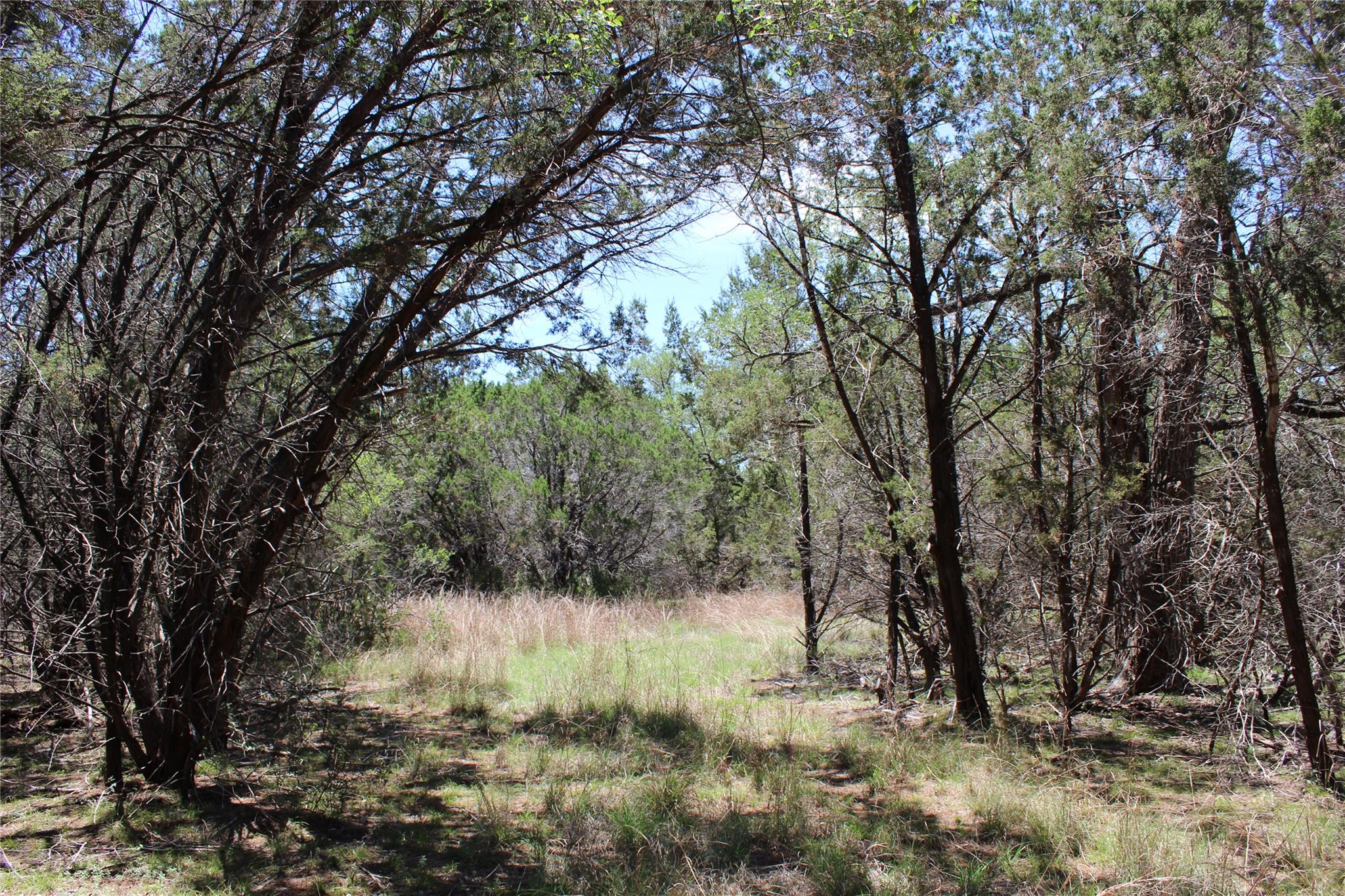 Tbd Oak Run Dr Property Photo 17