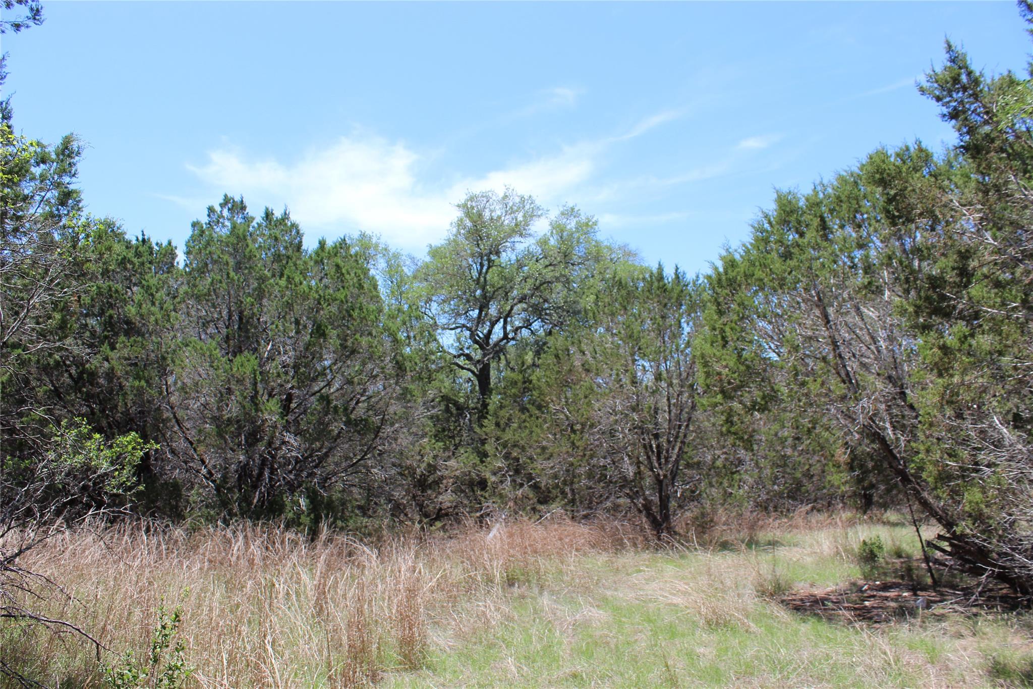 Tbd Oak Run Dr Property Photo 18