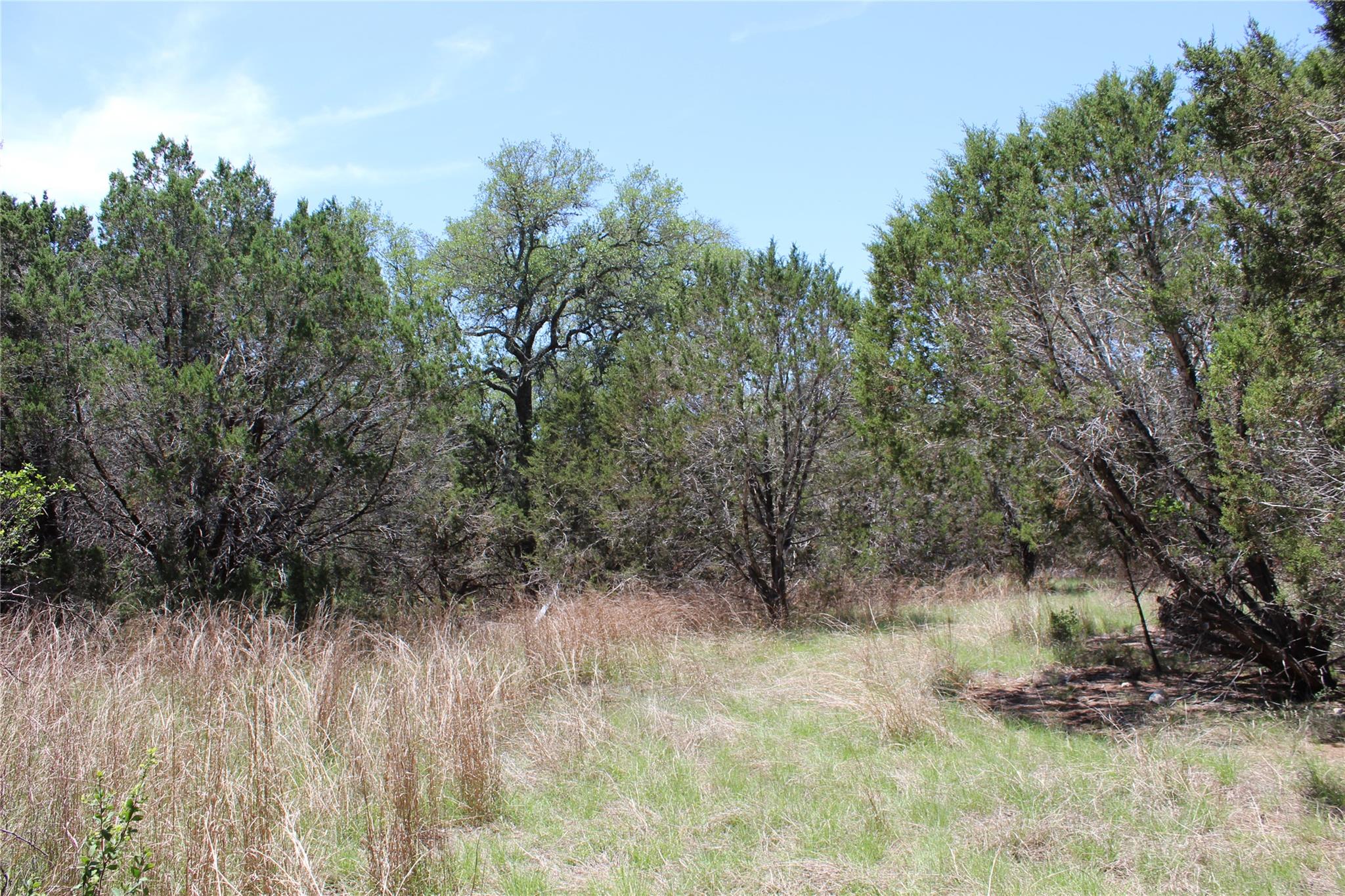 Tbd Oak Run Dr Property Photo 20