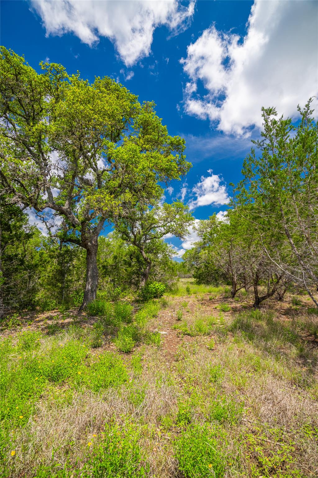 Lot 8 Fm 32 None Property Photo 4