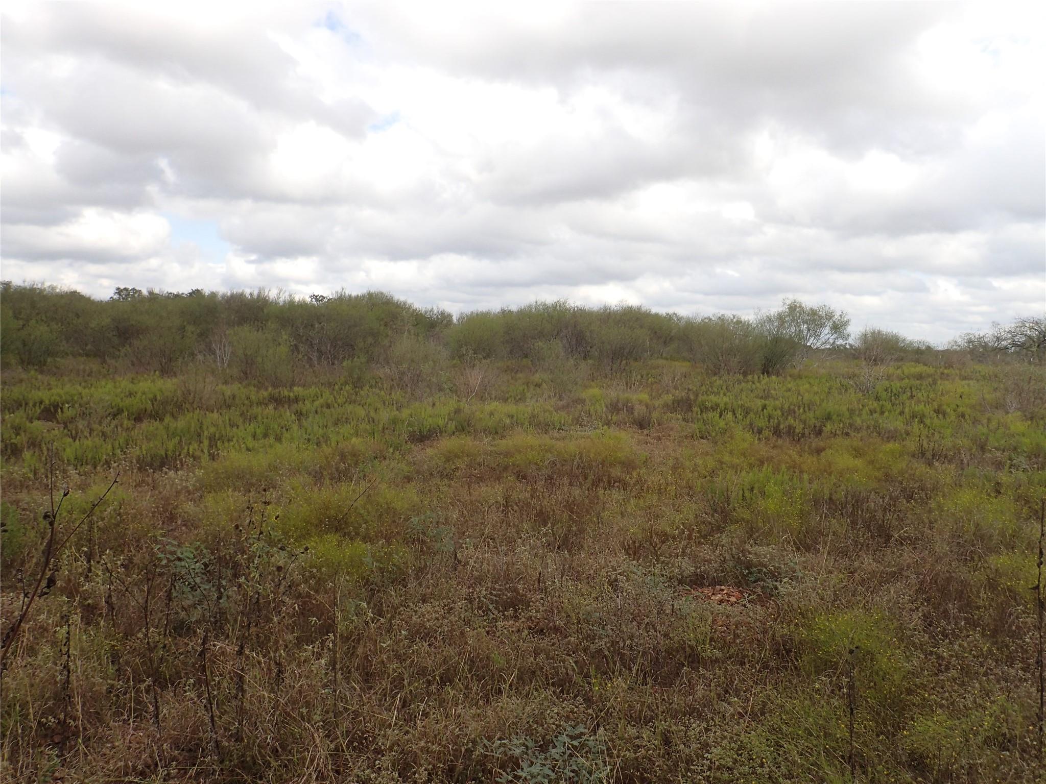 Tbd Cannon Creek Dr Property Photo 36