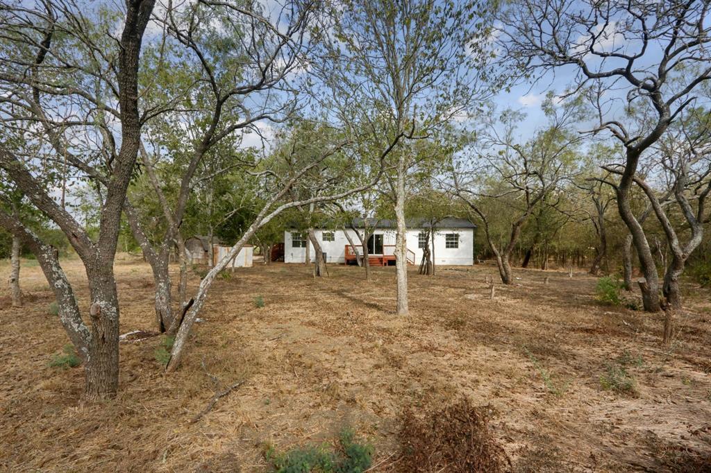 462 Texas Oak Dr Property Photo 3