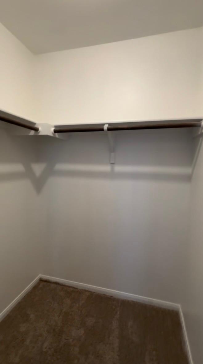 137 Rafe Ct Property Photo 5