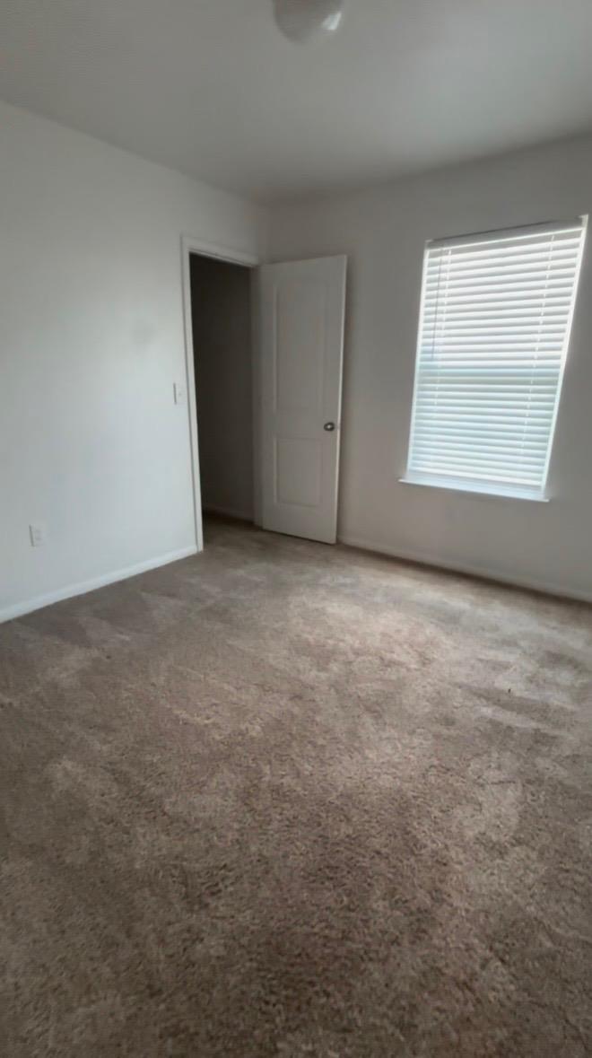 137 Rafe Ct Property Photo 7