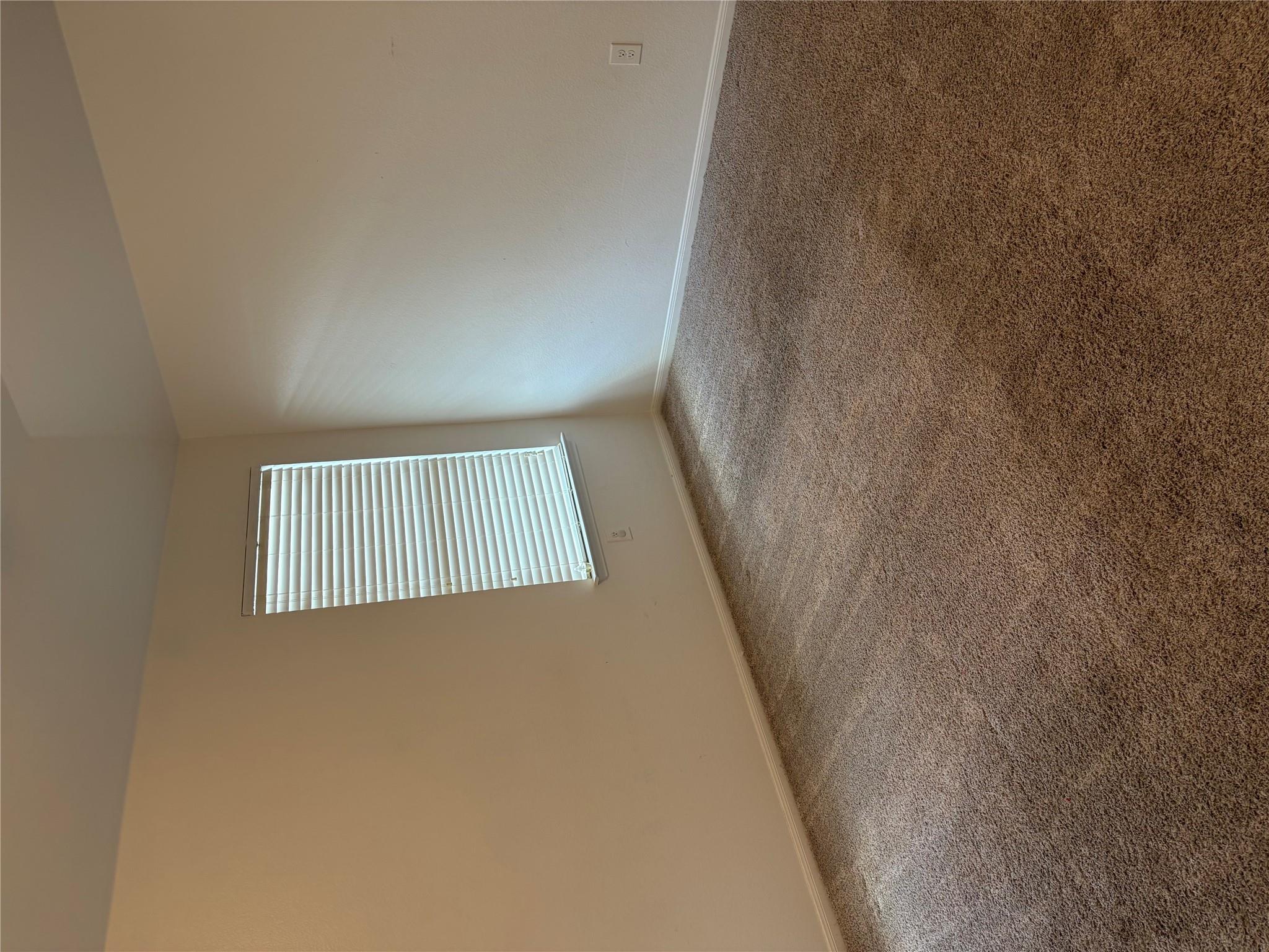 137 Rafe Ct Property Photo 16