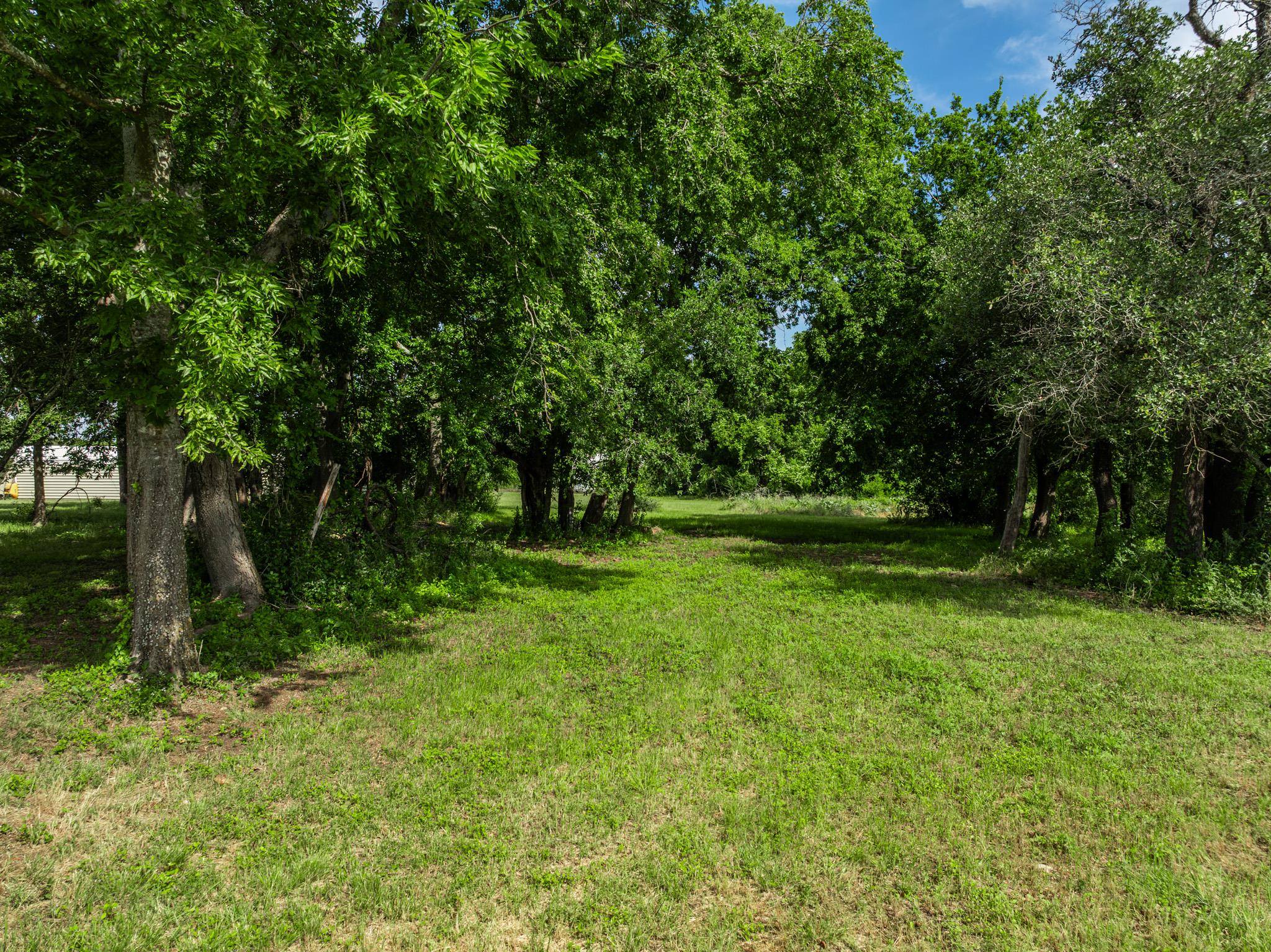 199 Apache Springs Rd Property Photo 25
