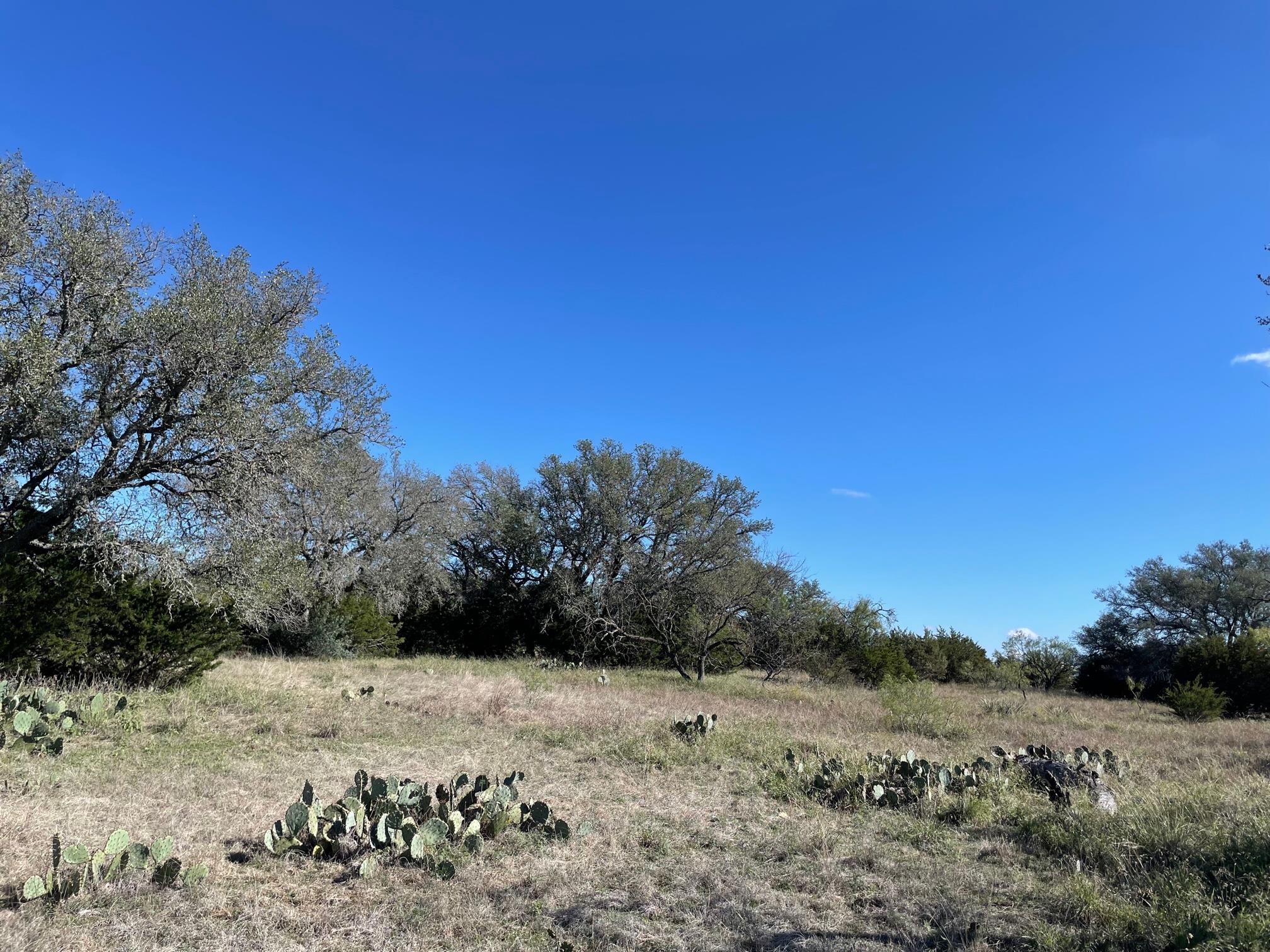 119 Spanish Oak Dr Property Photo 3