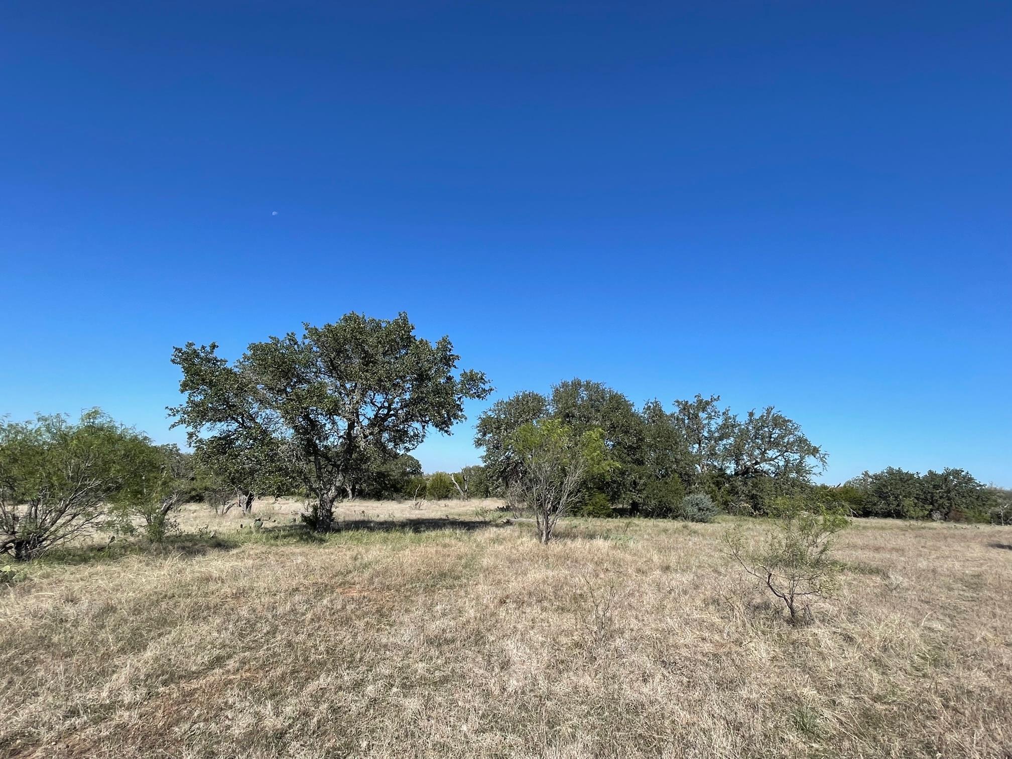 119 Spanish Oak Dr Property Photo 4