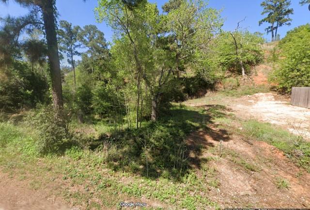 000 Wahane Ln Property Photo 2