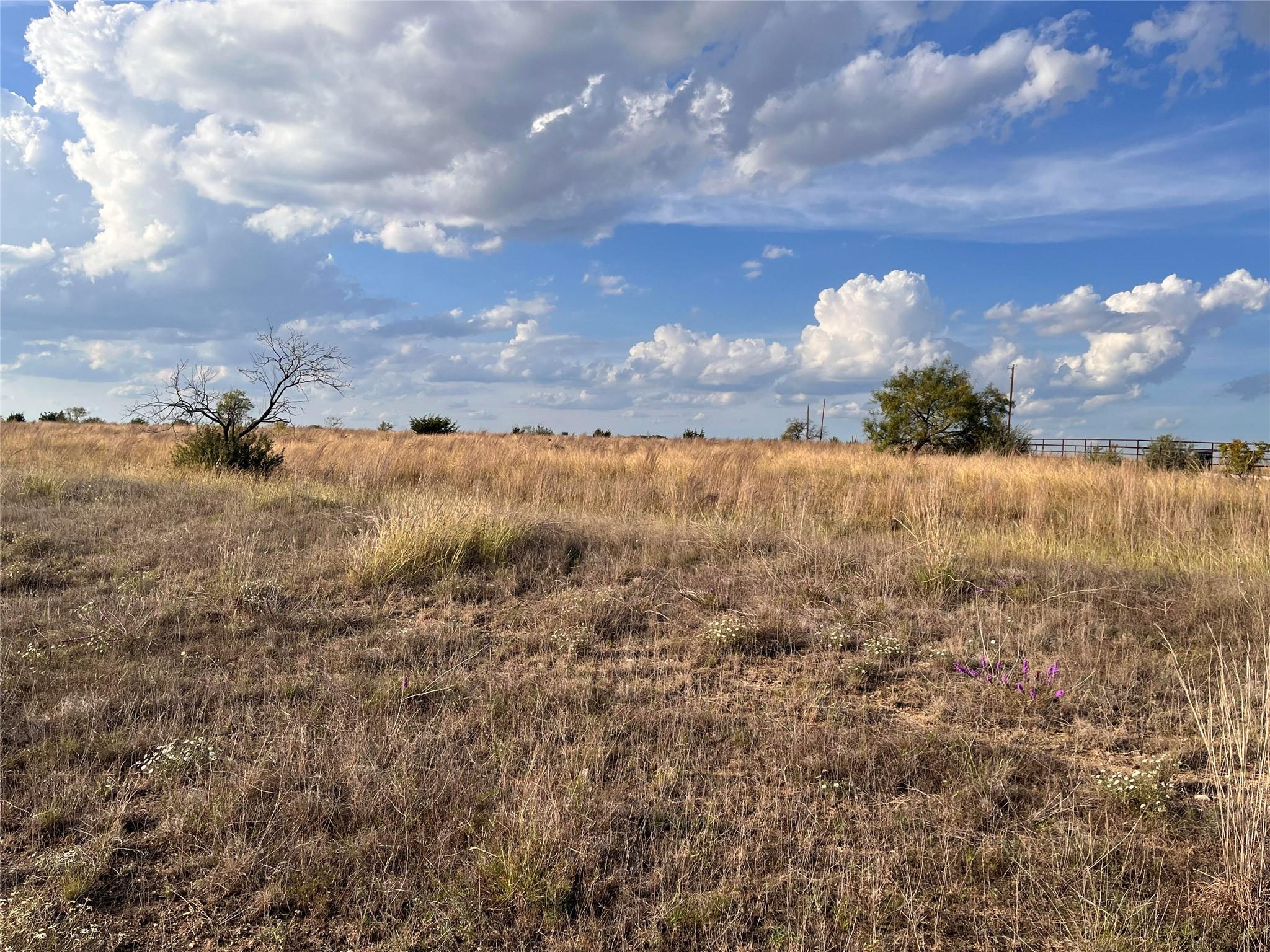Tbd Corner Of Cr 278 & Cr 276 Rd Property Photo 6