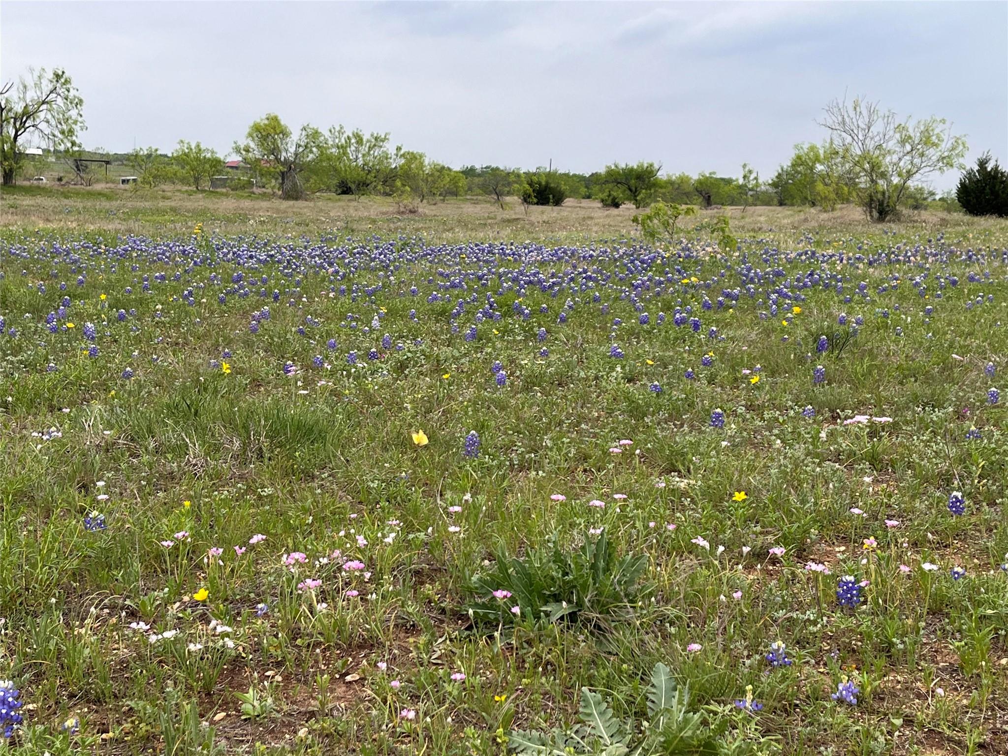 Tbd Corner Of Cr 278 & Cr 276 Rd Property Photo 7