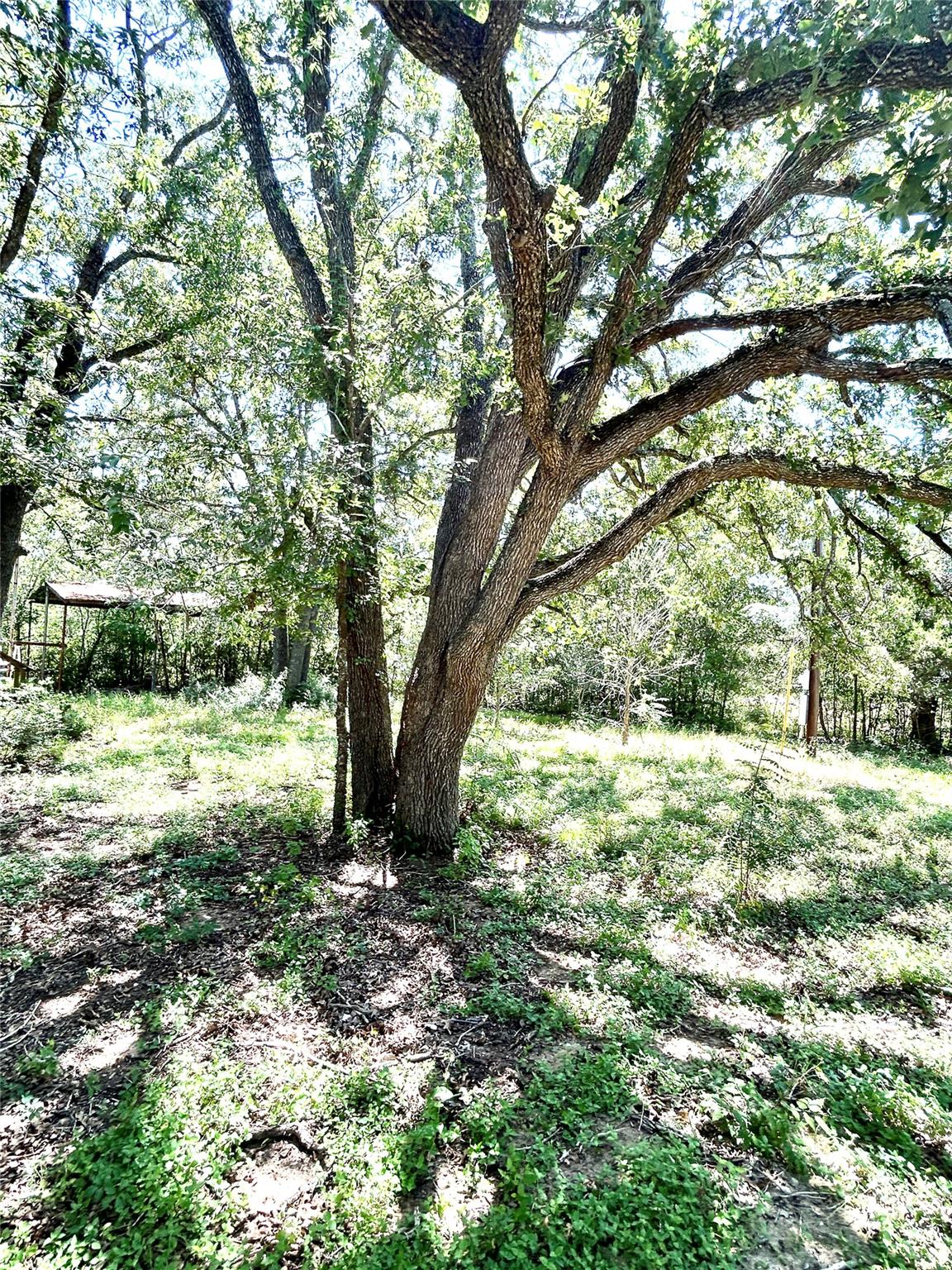 223 Foothill Rd Property Photo 18