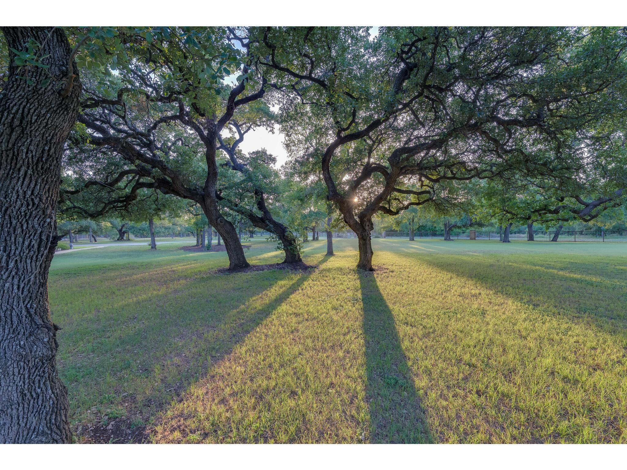 30201 Live Oak Trl Property Photo 10