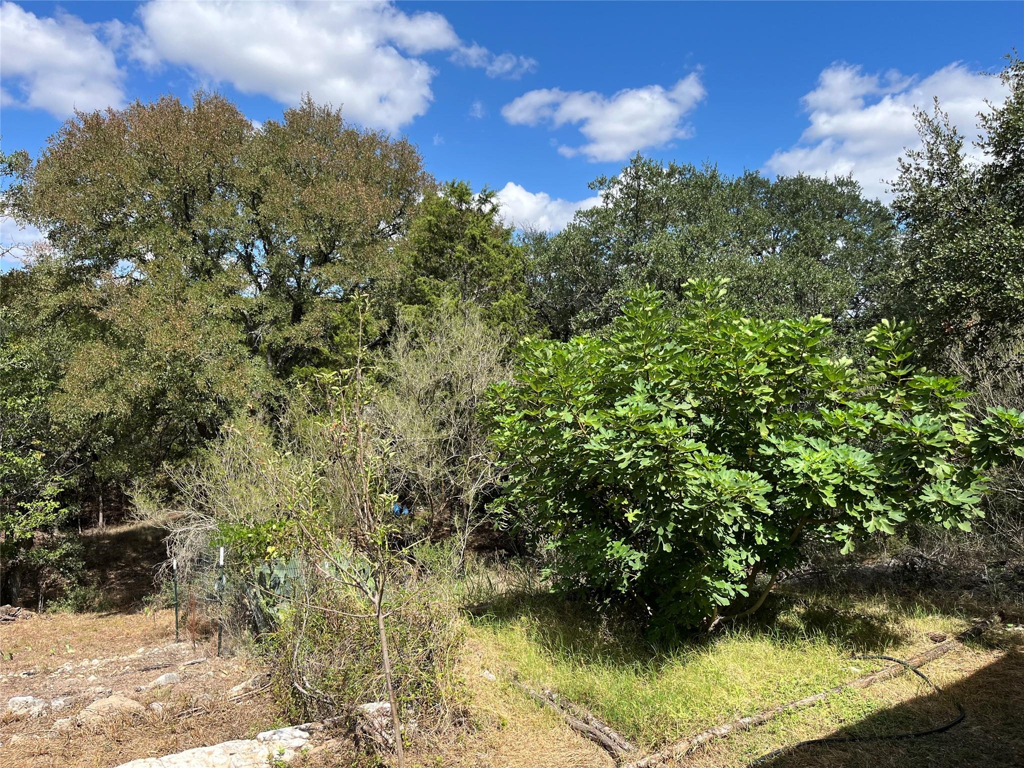 205 Homestead Rd Property Photo 8