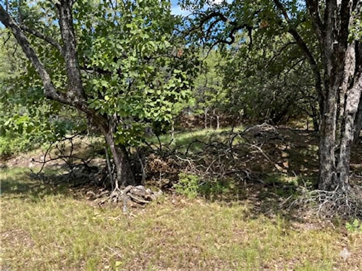 205 Homestead Rd Property Photo 11