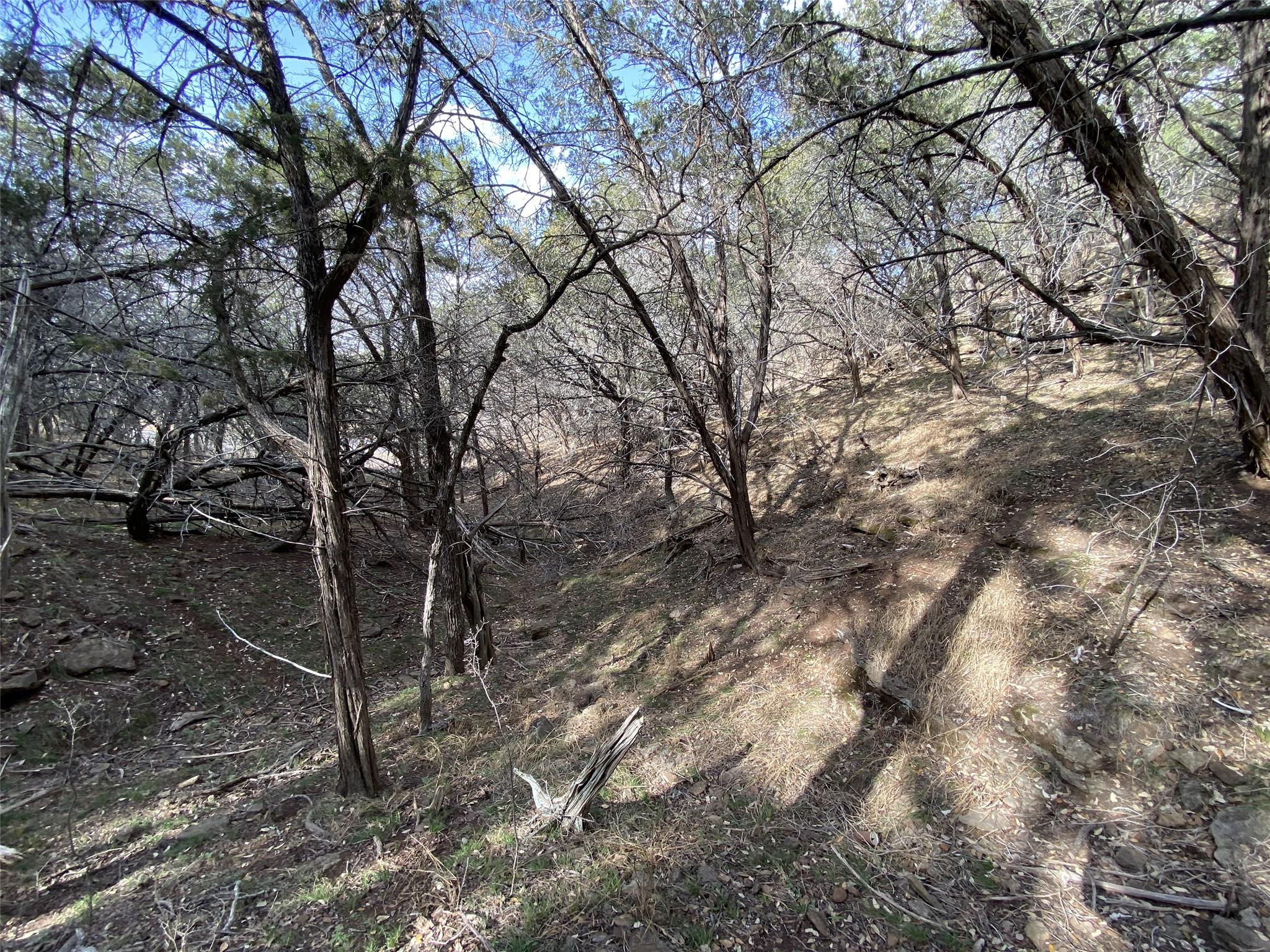 Tbd Cr 137 Property Photo 6