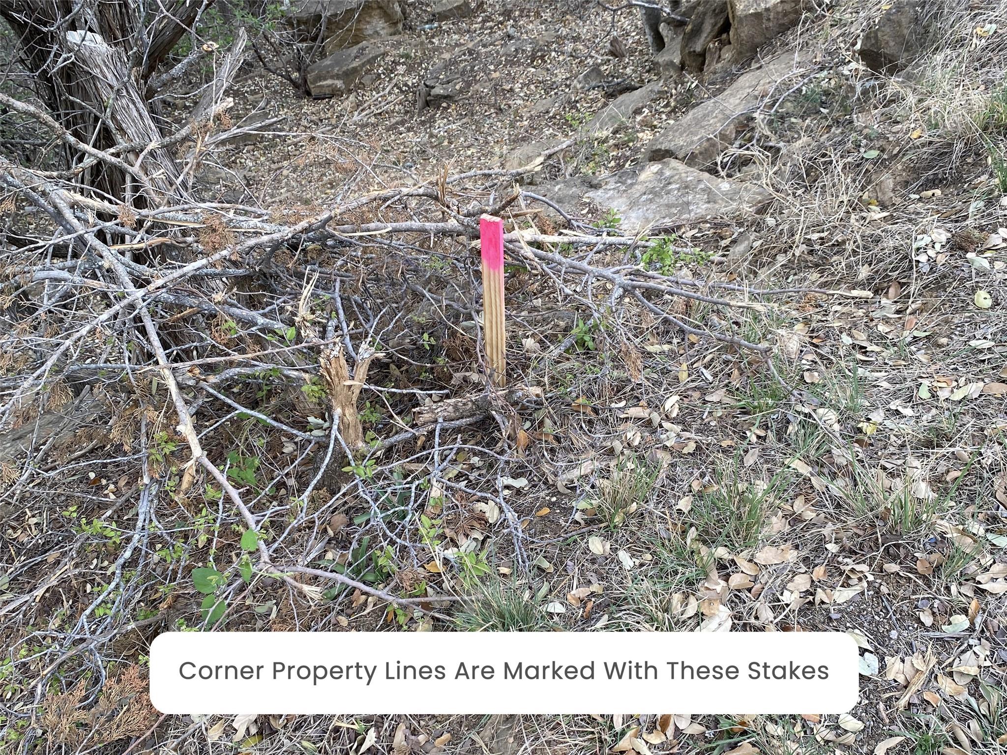 Tbd Cr 137 Property Photo 13