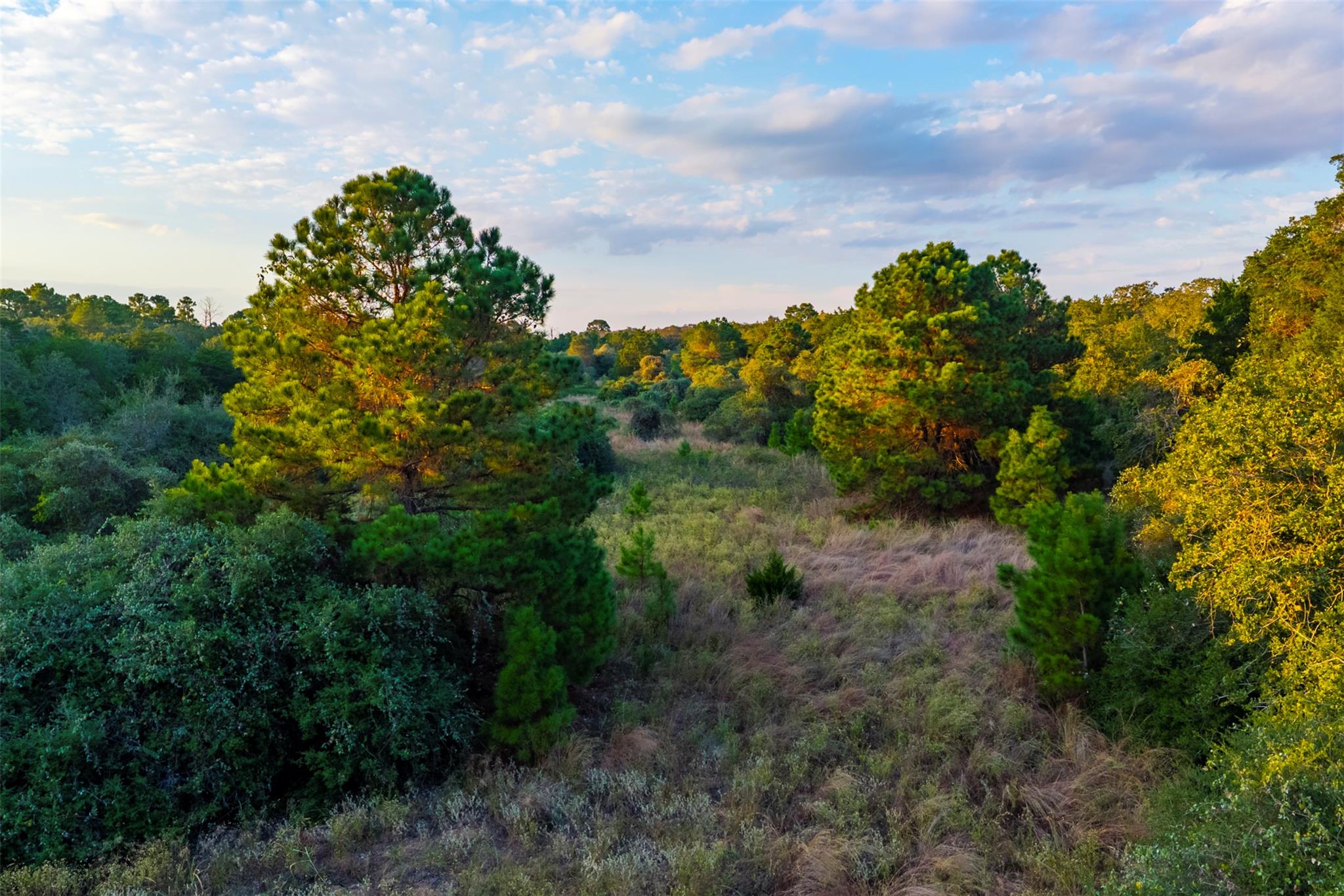 1400 Fm 535 None Property Photo 13