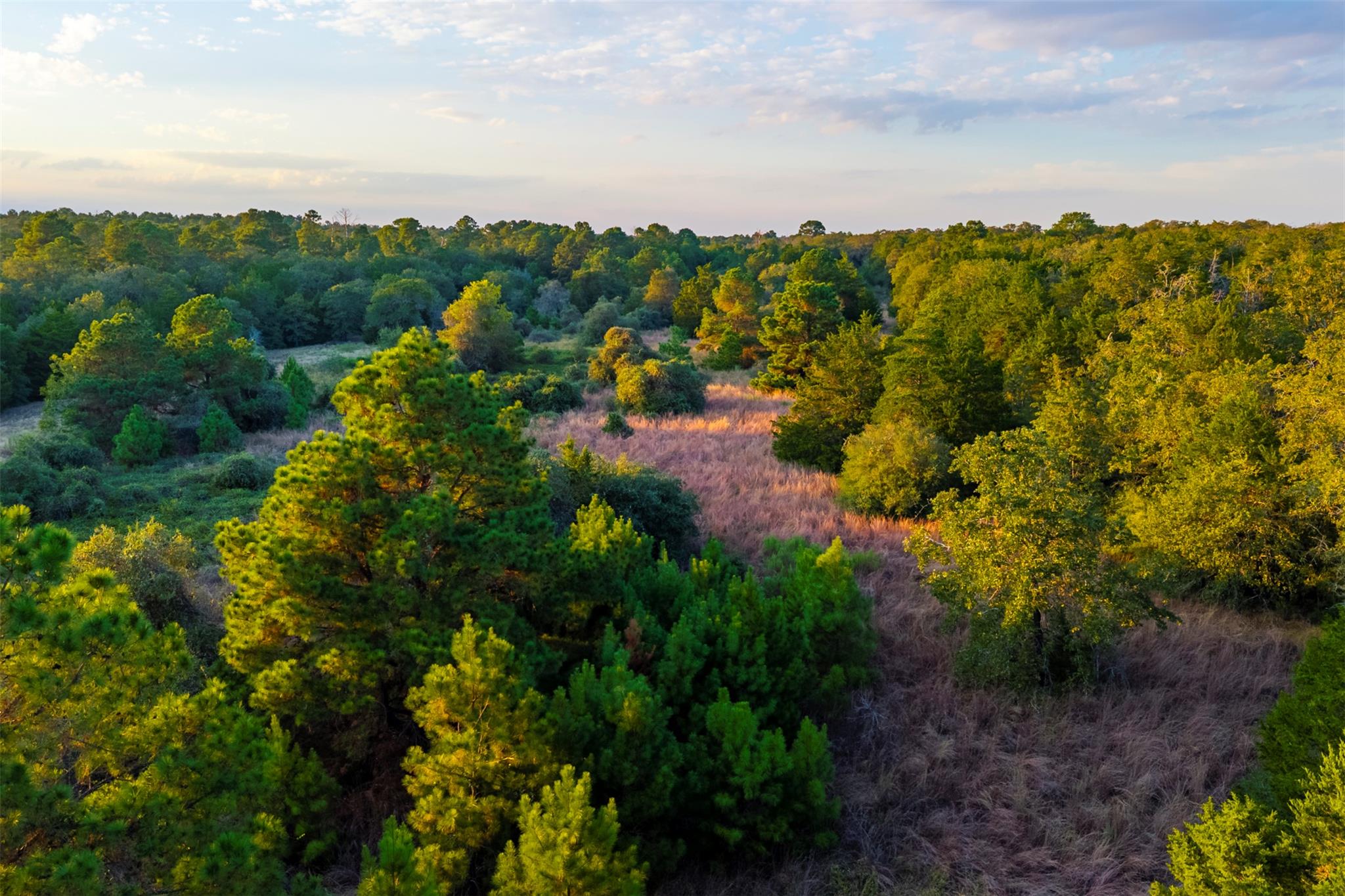1400 Fm 535 None Property Photo 14