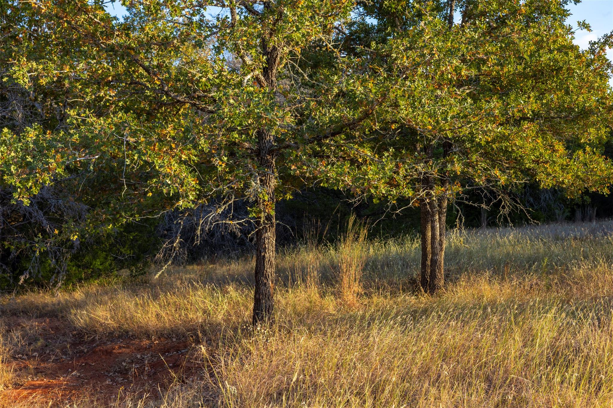 1400 Fm 535 None Property Photo 29