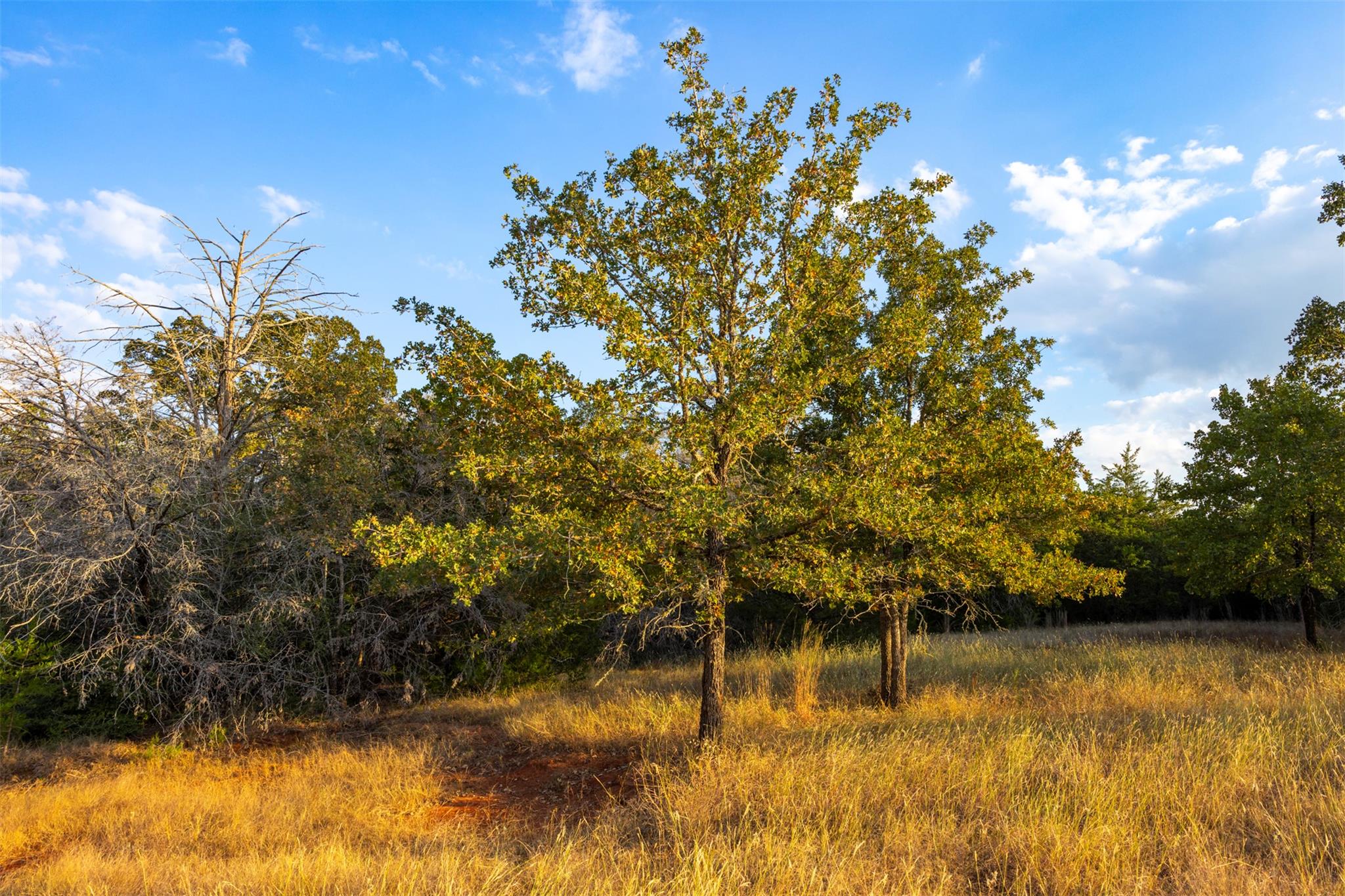 1400 Fm 535 None Property Photo 31