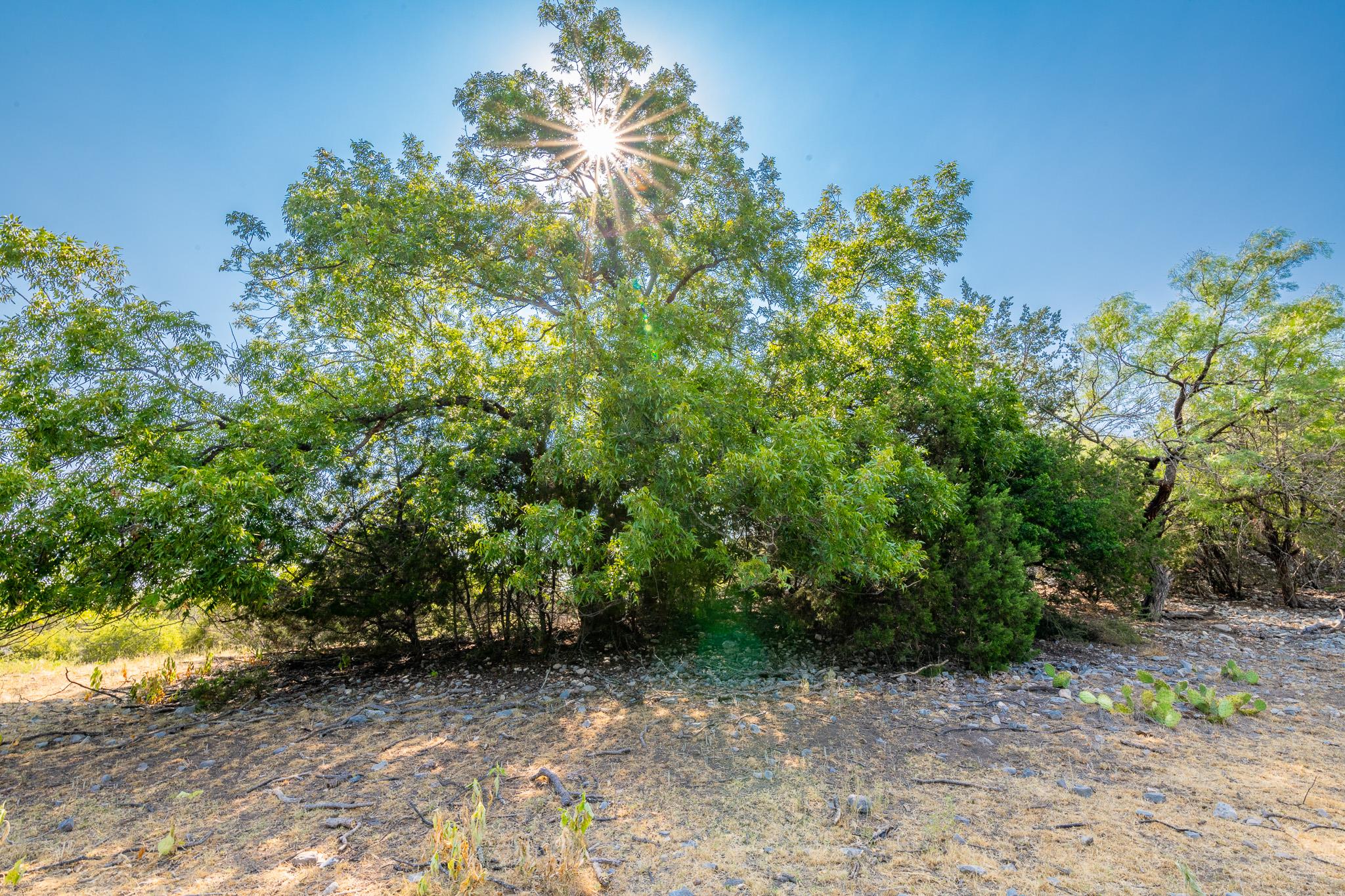 491 Kc 276 None Property Photo 8