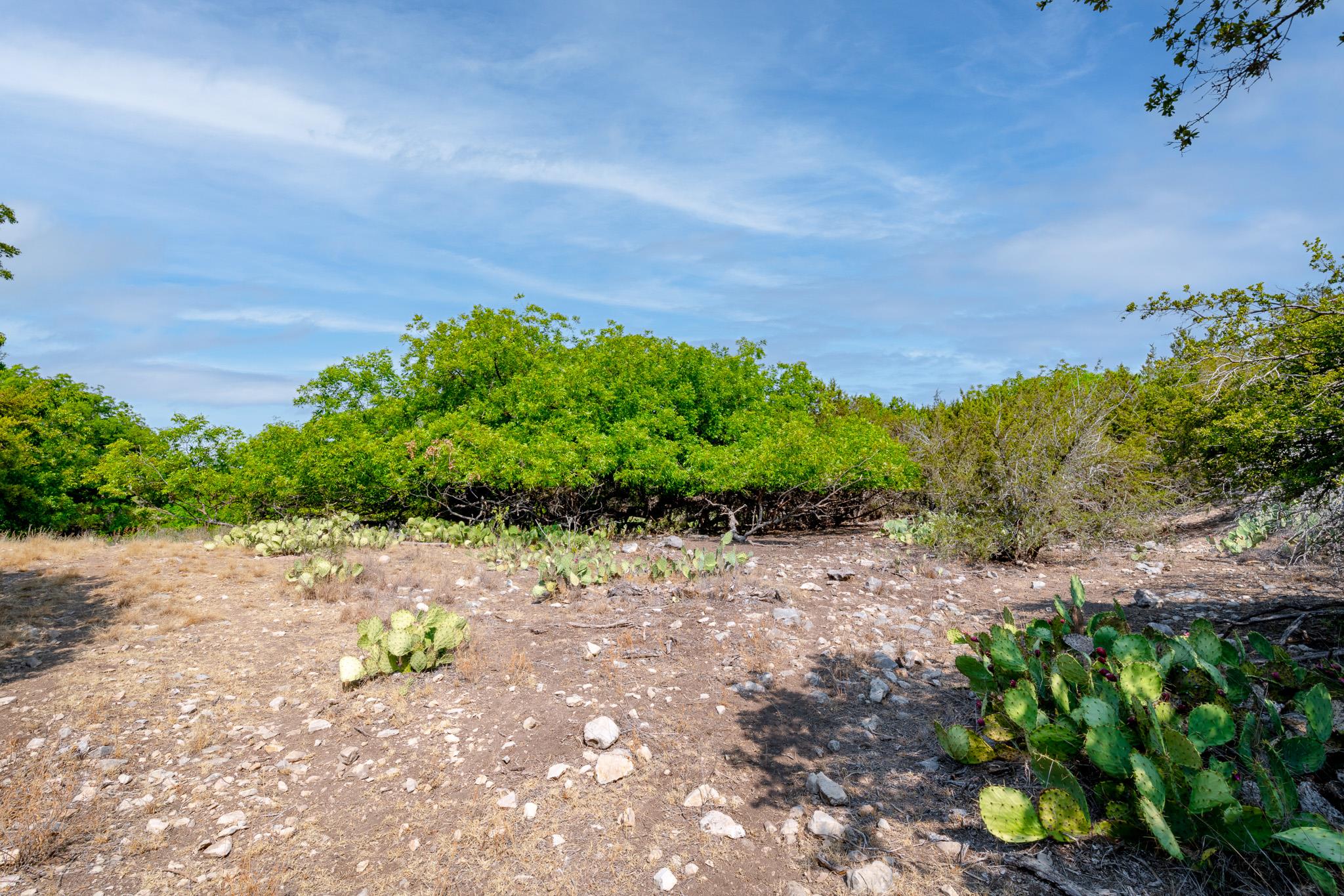 491 Kc 276 None Property Photo 11