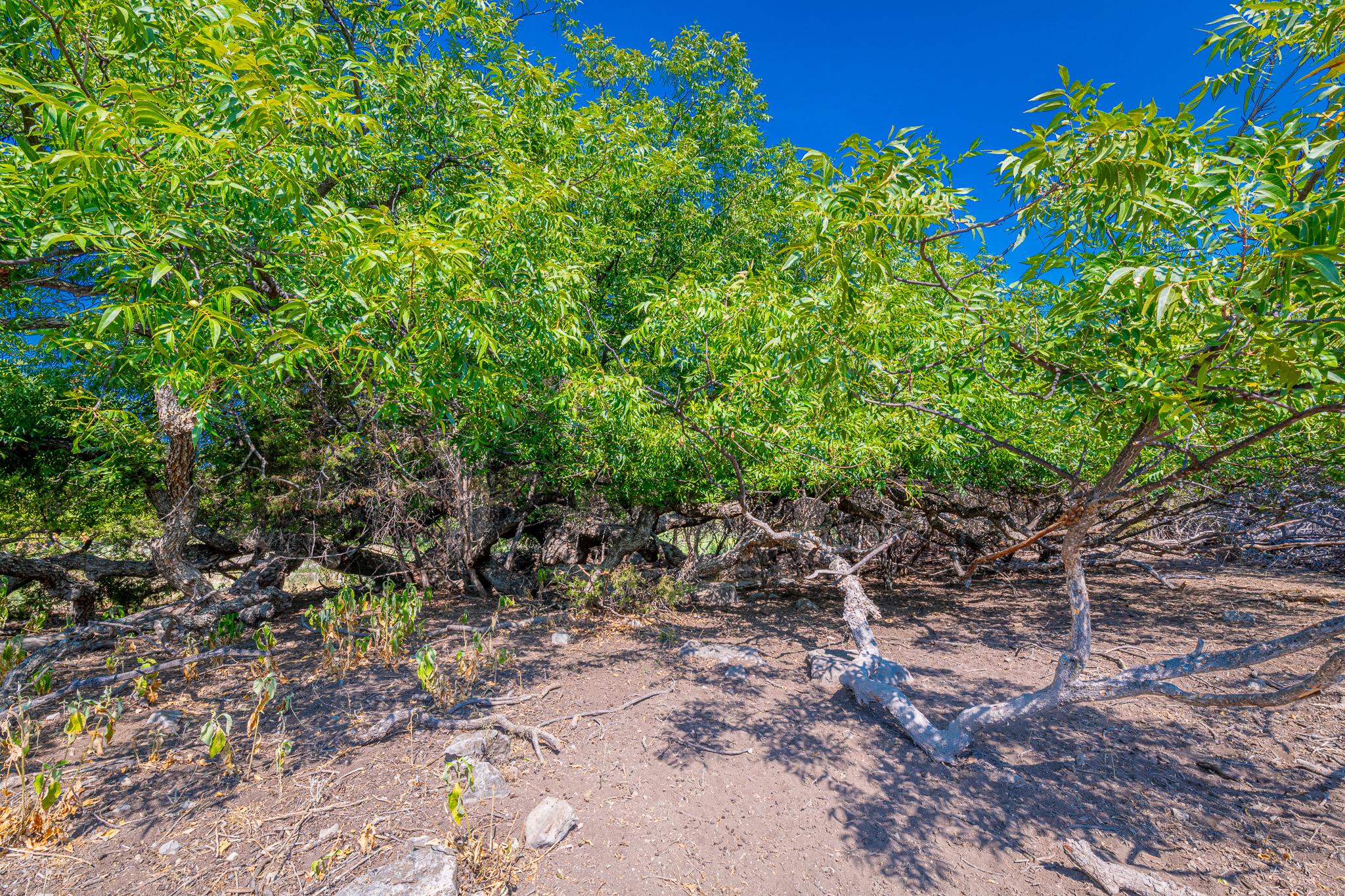 491 Kc 276 None Property Photo 12