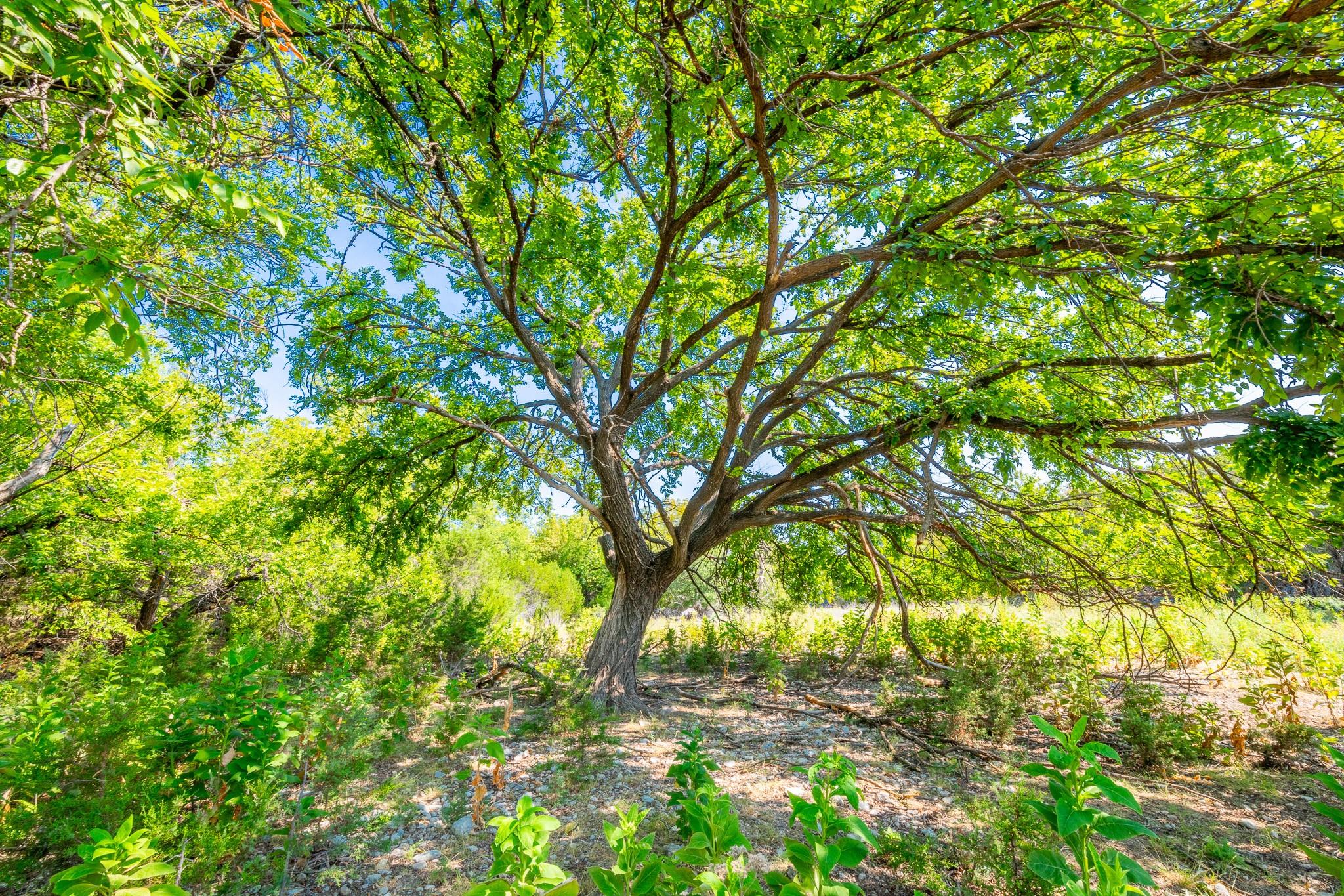 491 Kc 276 None Property Photo 15