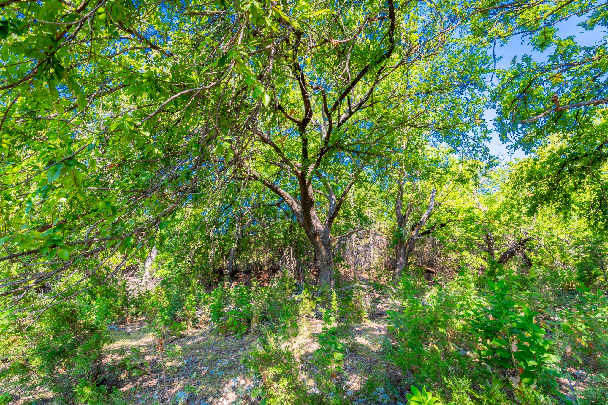 491 Kc 276 None Property Photo 22