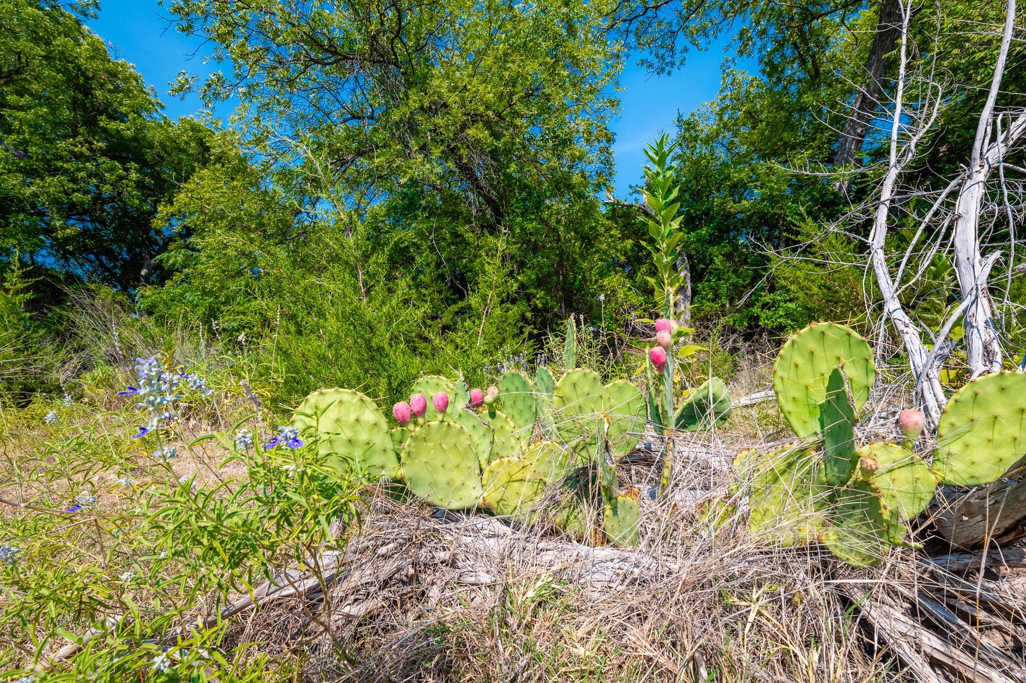 491 Kc 276 None Property Photo 27