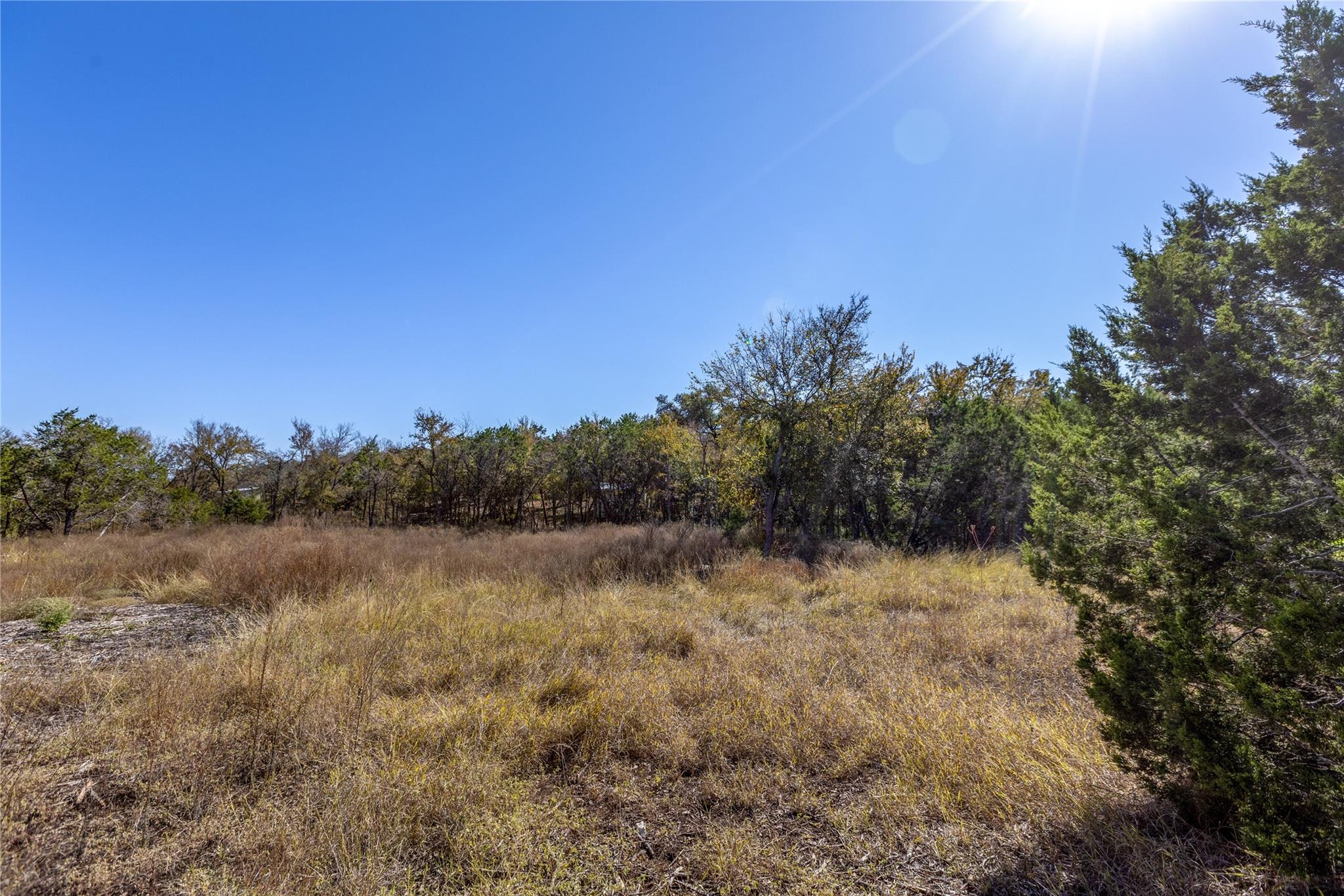 10603 Oak Valley Ct Property Photo 18