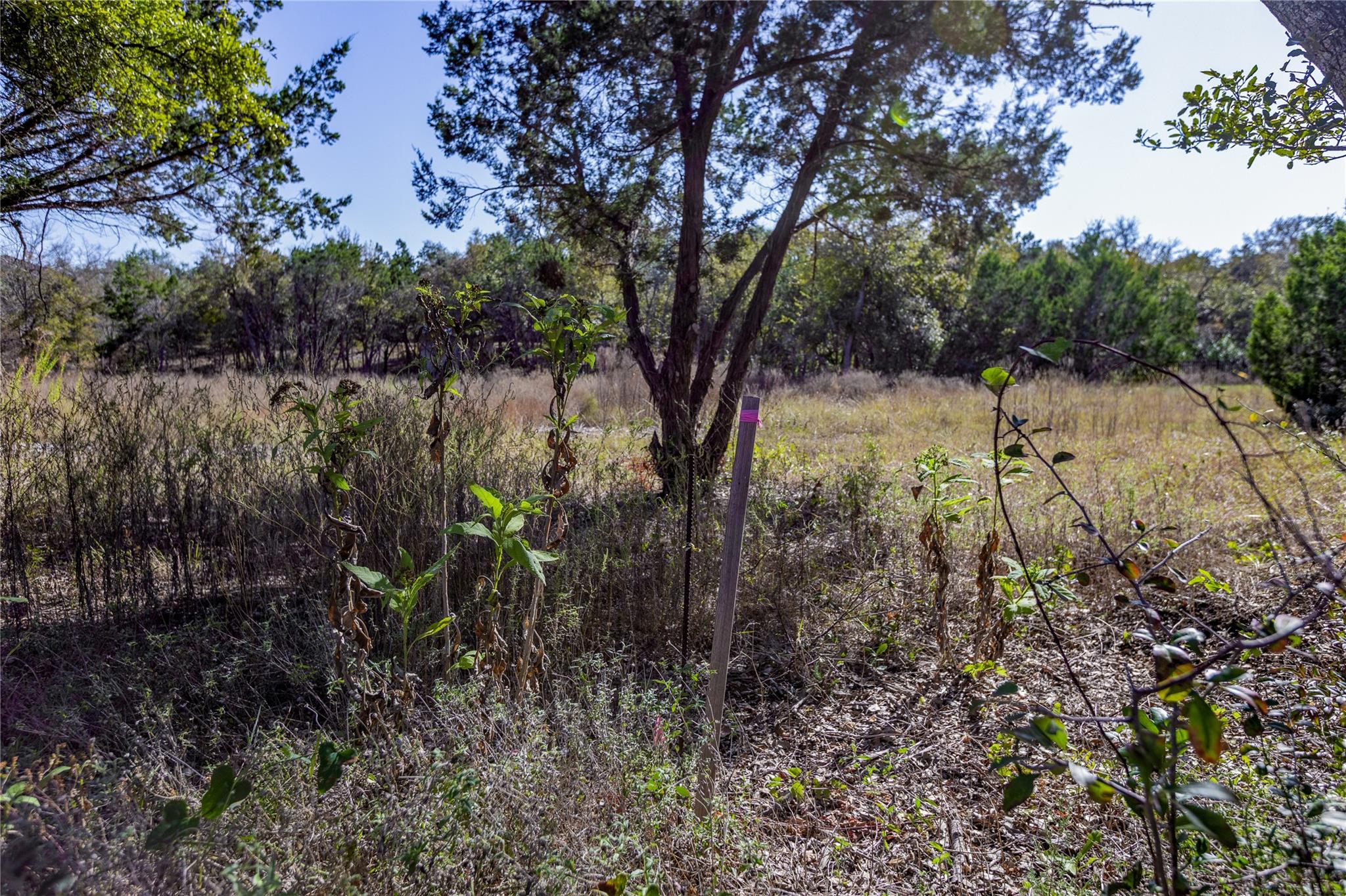 10603 Oak Valley Ct Property Photo 26