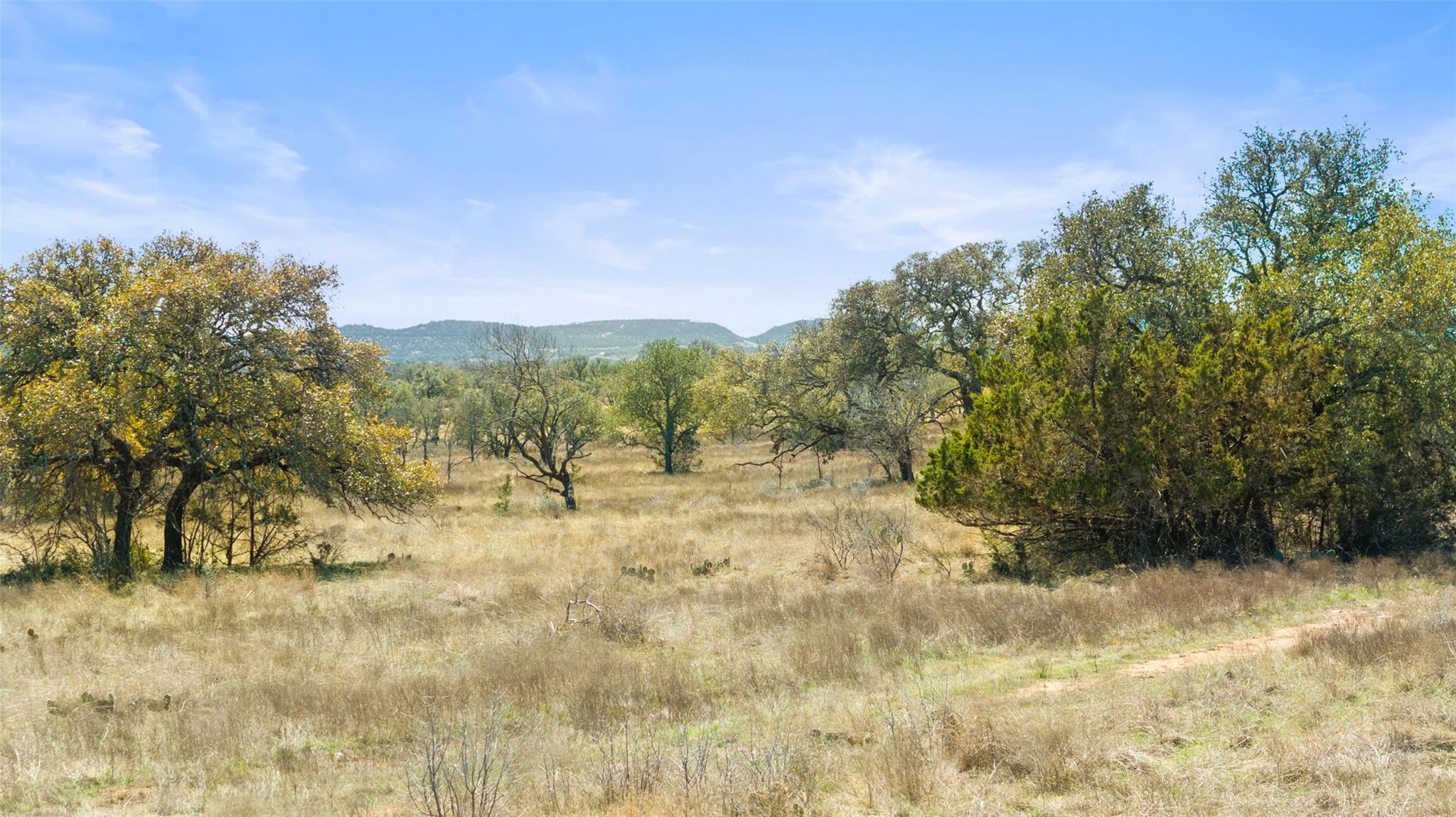 0000 Deep Roots Ranch Property Photo 3