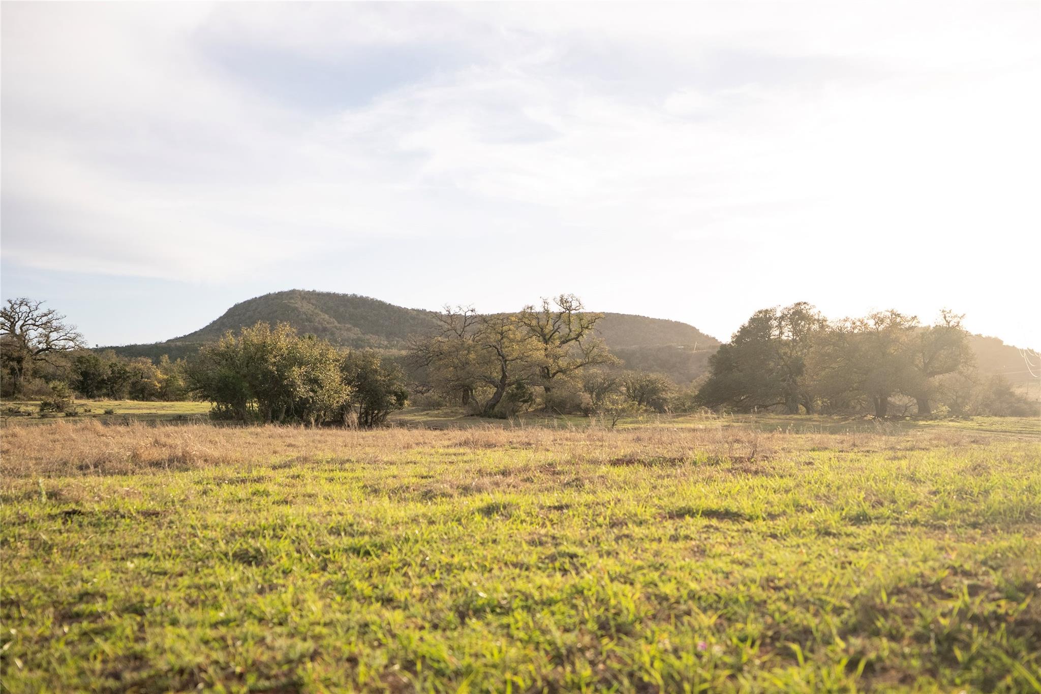 10070 Willow City Loop Property Photo 4