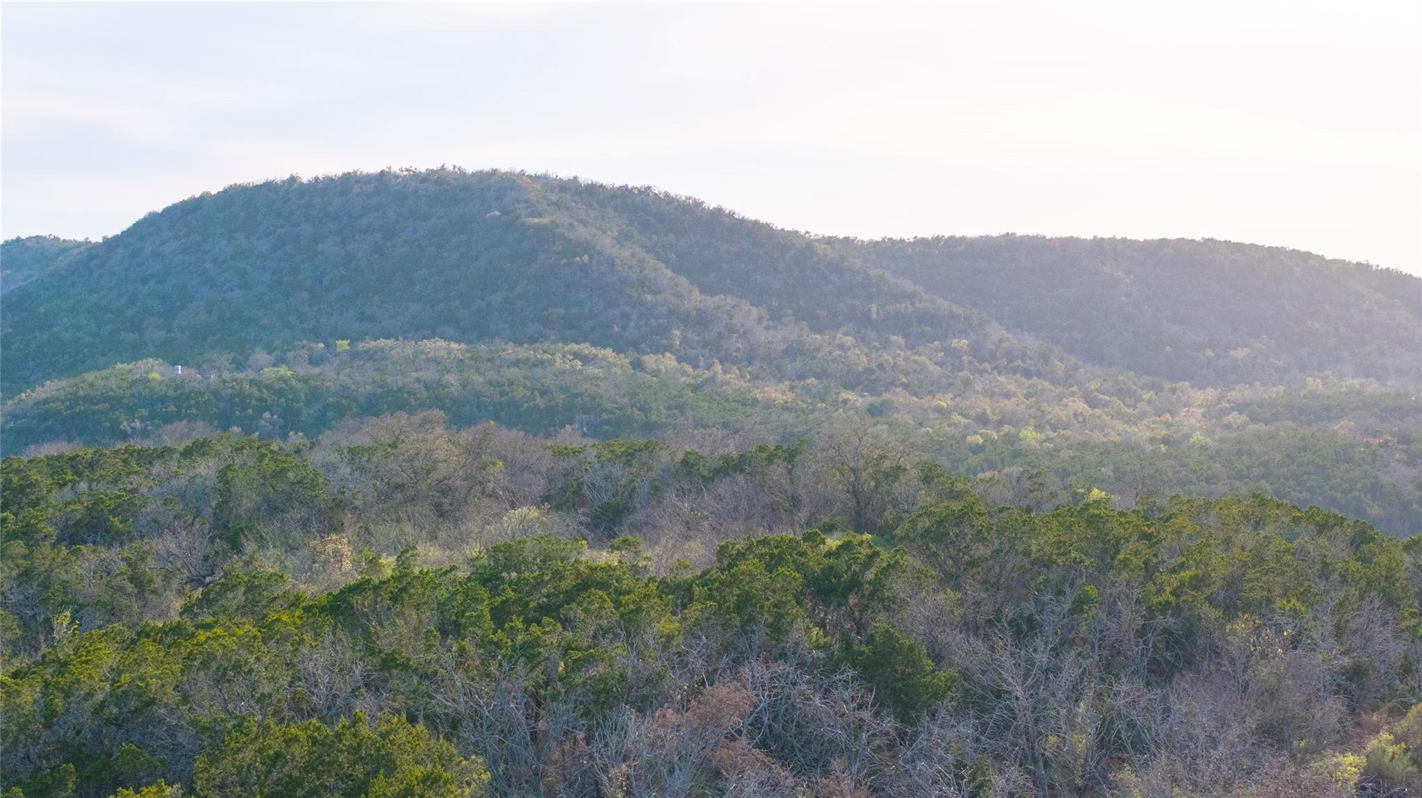10070 Willow City Loop Property Photo 12