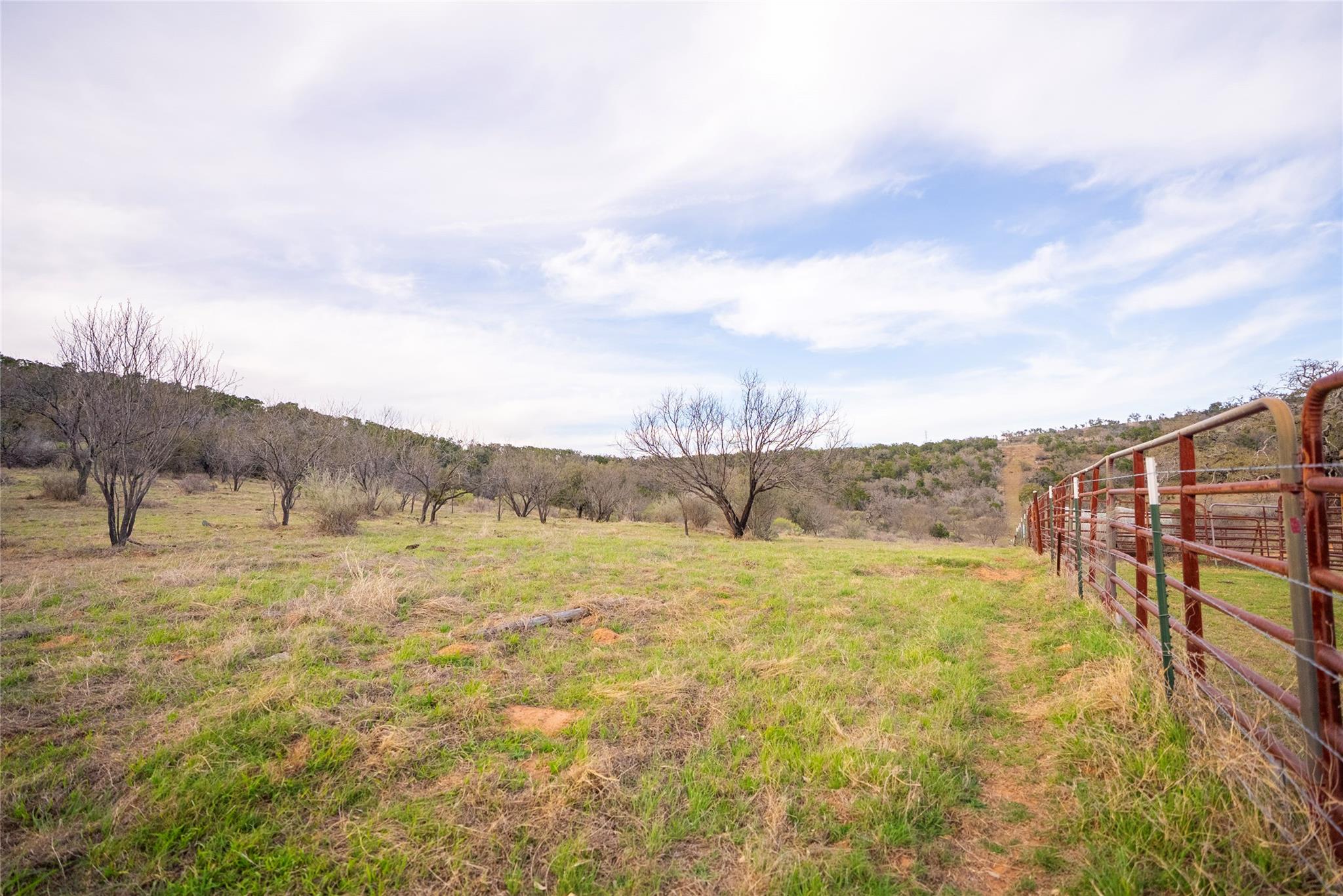 10070 Willow City Loop Property Photo 16