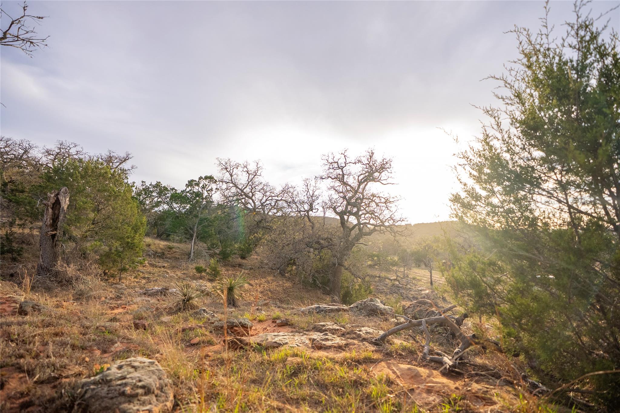 10070 Willow City Loop Property Photo 19