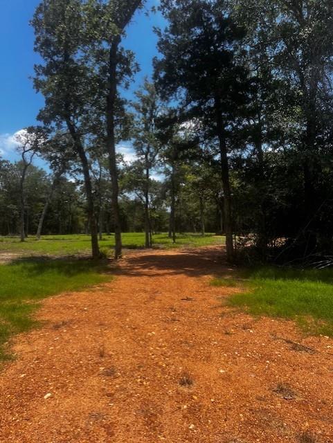 4605 Krischke Rd Property Photo 2