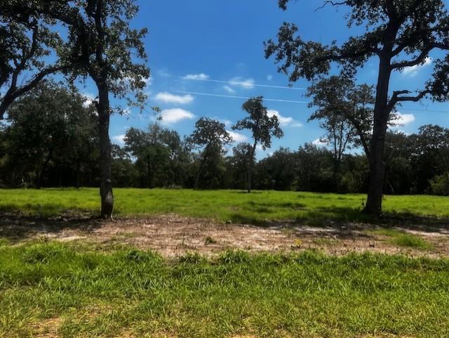 4605 Krischke Rd Property Photo 4