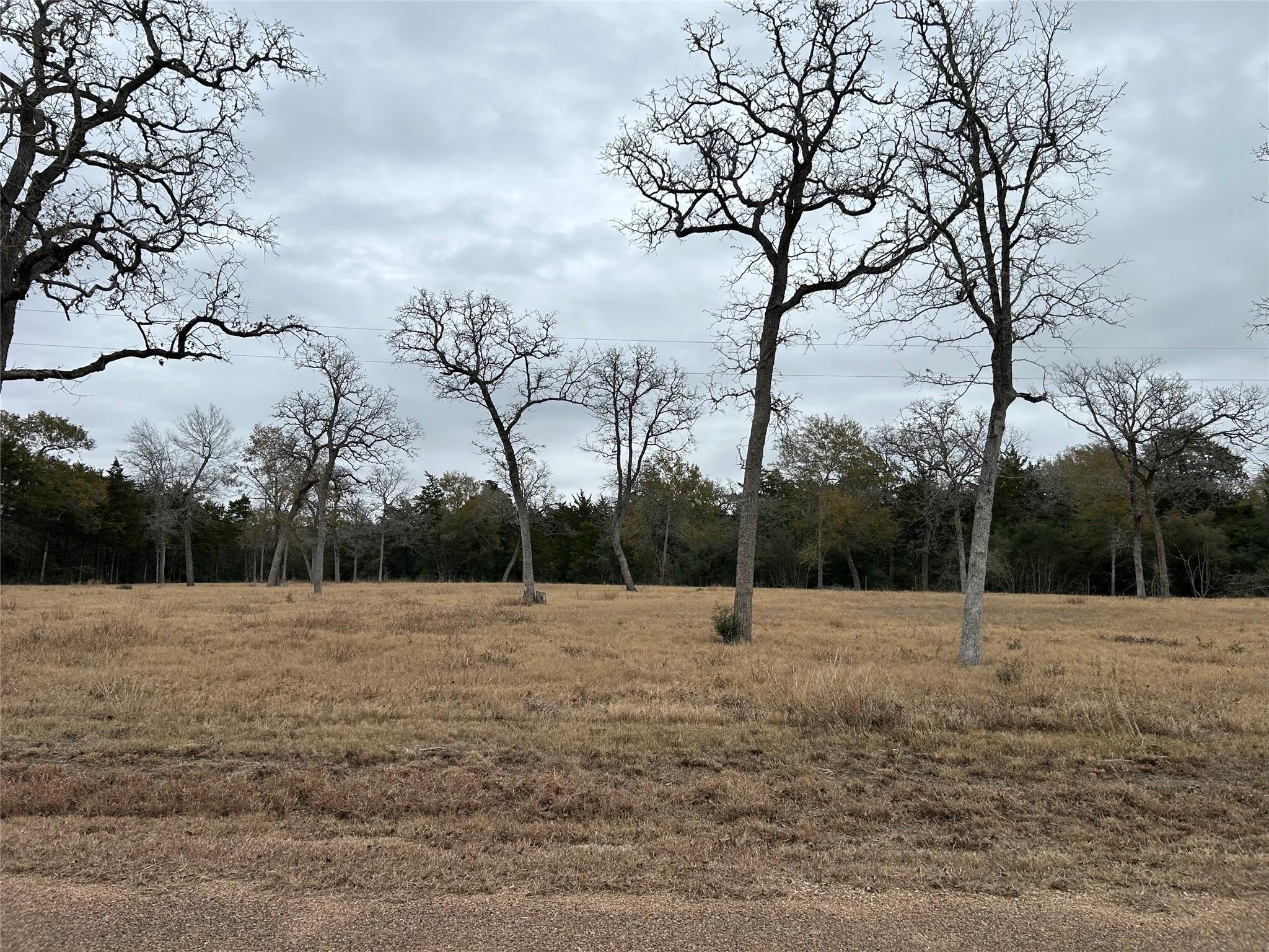 4605 Krischke Rd Property Photo 12